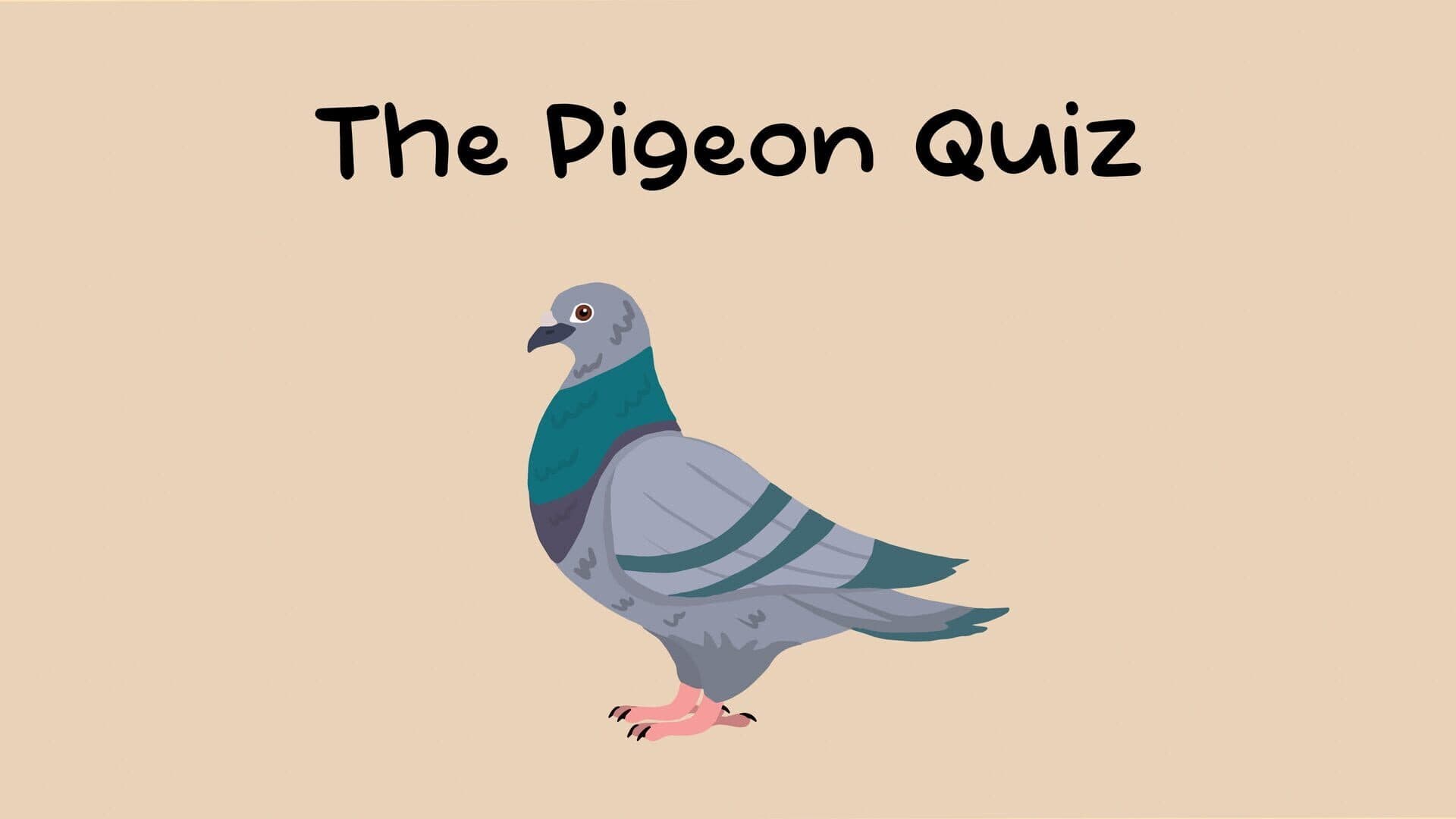 The Pigeon Quiz