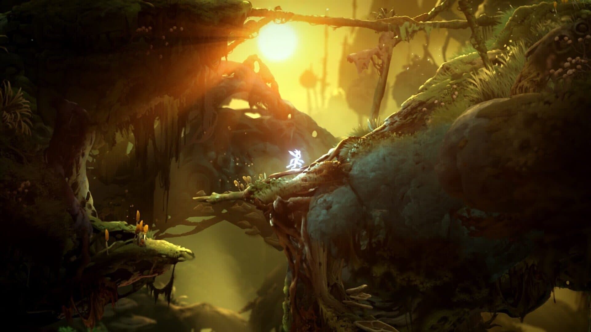 Ori and the Will of the Wisps screenshot 10