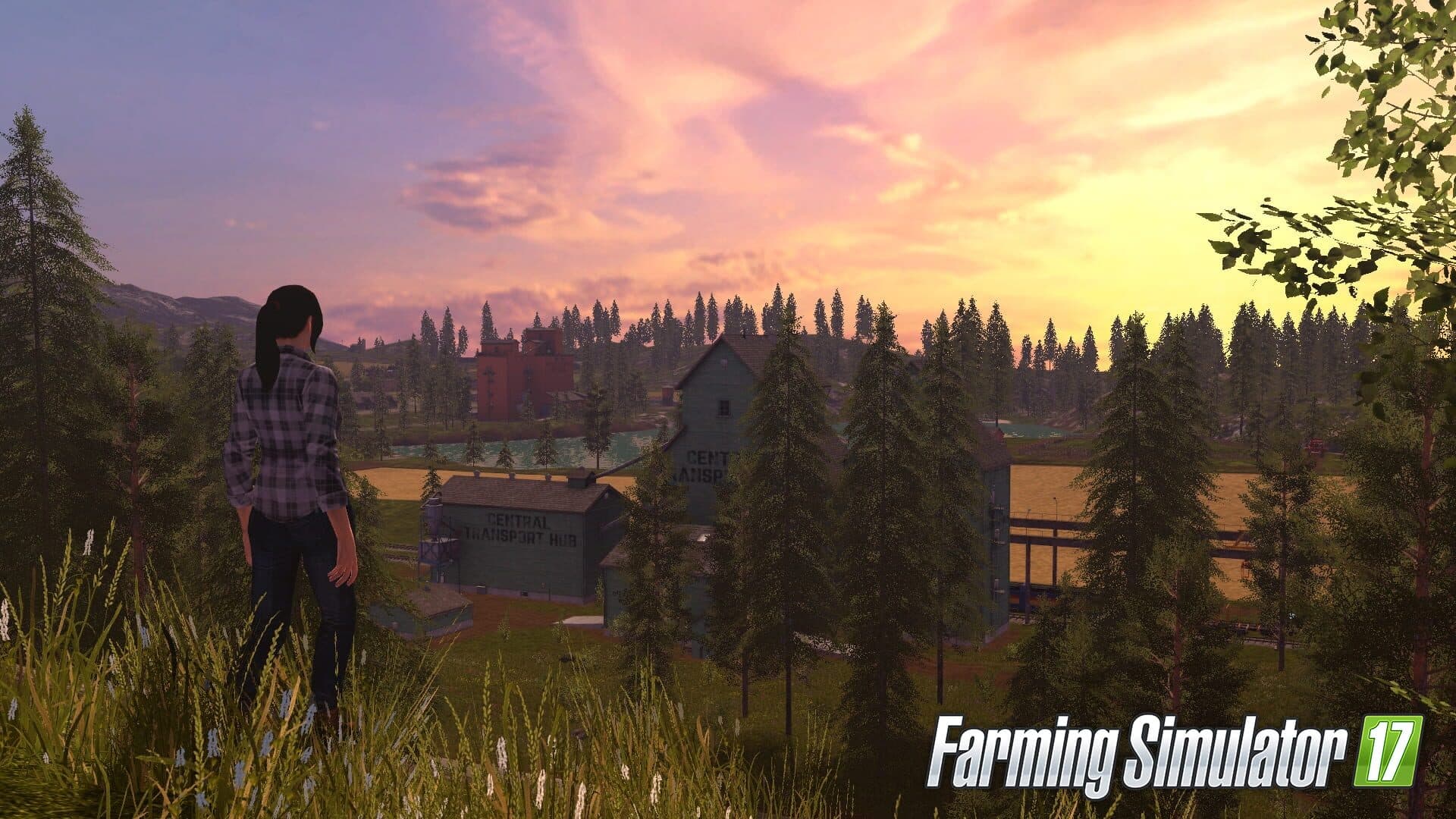 اسکرین‌شات Farming Simulator 17 - 2
