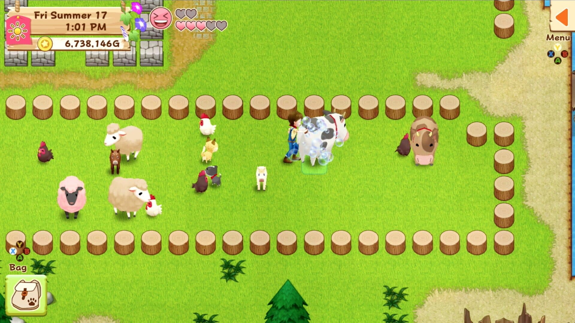 Harvest Moon: Light of Hope screenshot 2
