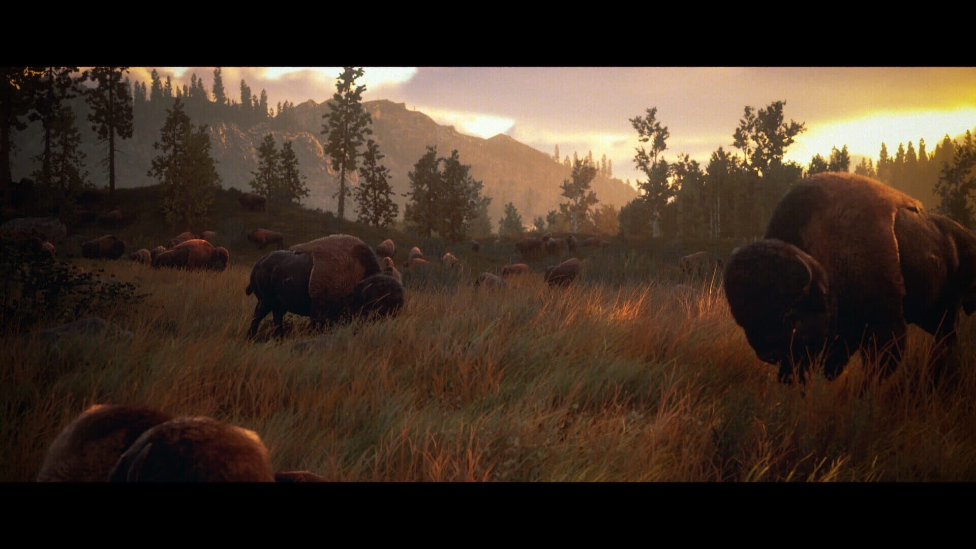 اسکرین‌شات Hunting Simulator 3 - 3