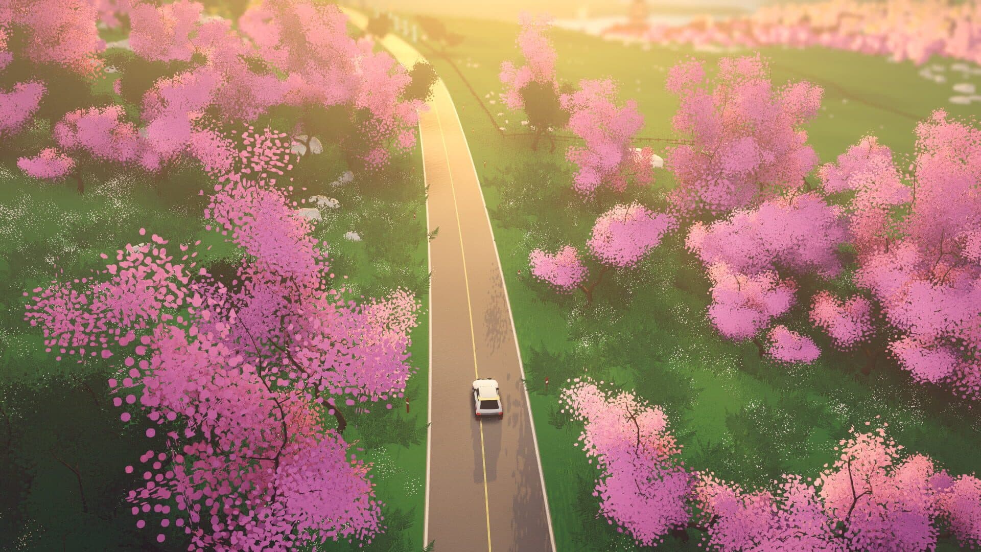 Art of Rally screenshot 6