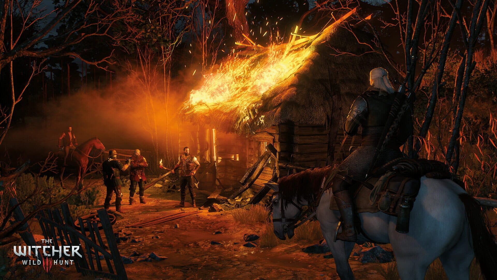 The Witcher 3: Wild Hunt screenshot 7