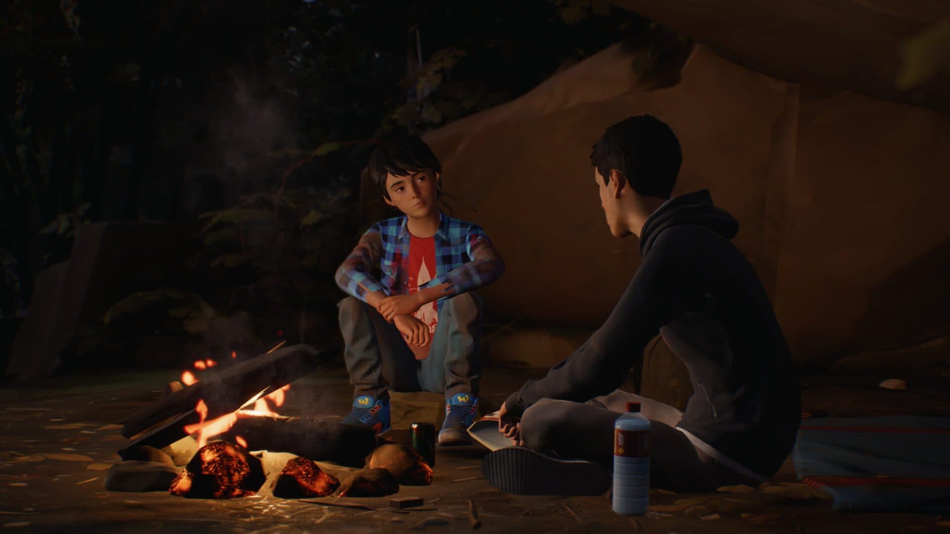 Life is Strange 2 screenshot 5