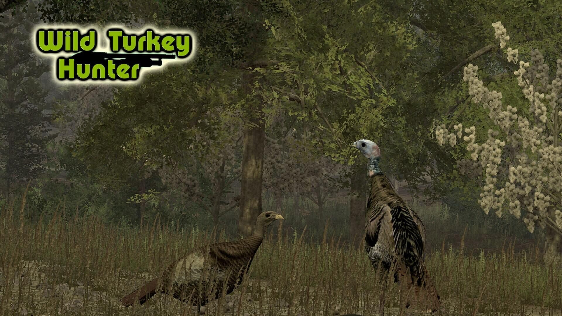Wild Turkey Hunter