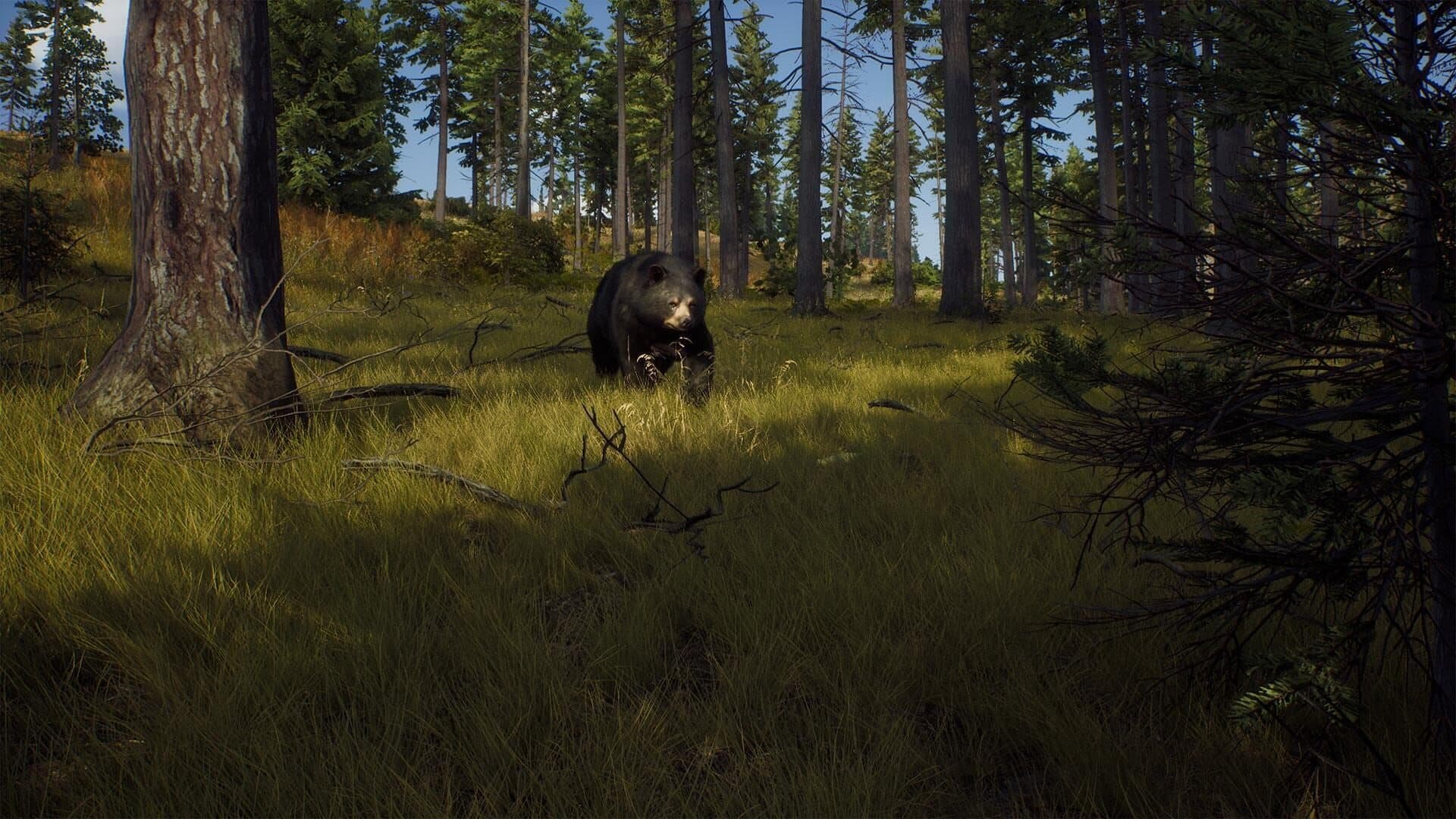 Way of the Hunter screenshot 11