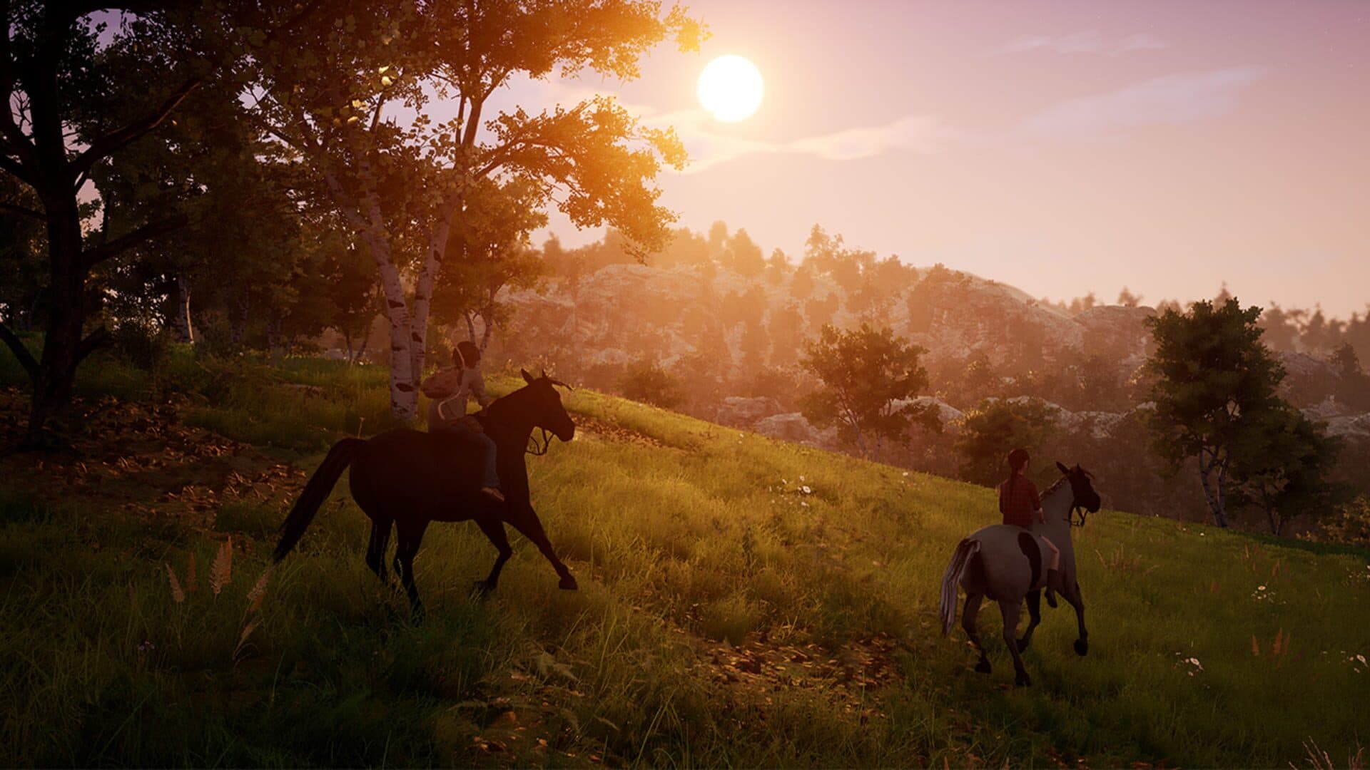 Windstorm: An Unexpected Arrival screenshot 4