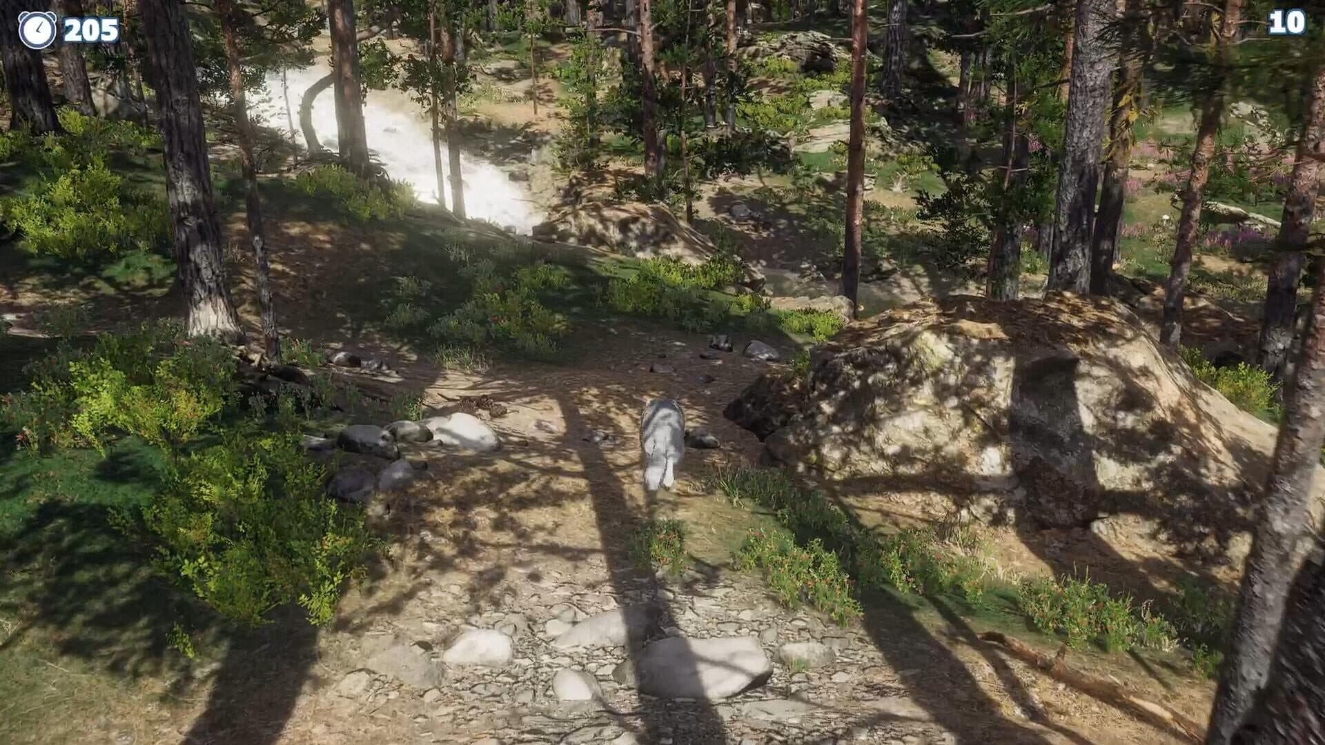 اسکرین‌شات Cazzarion: Raccoon Valley - 6