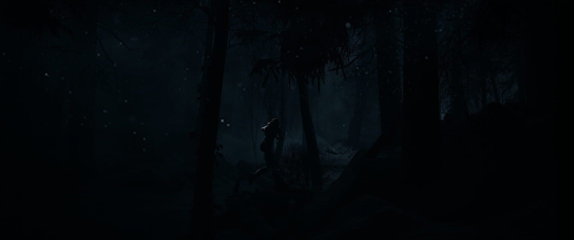 Until Dawn screenshot 5
