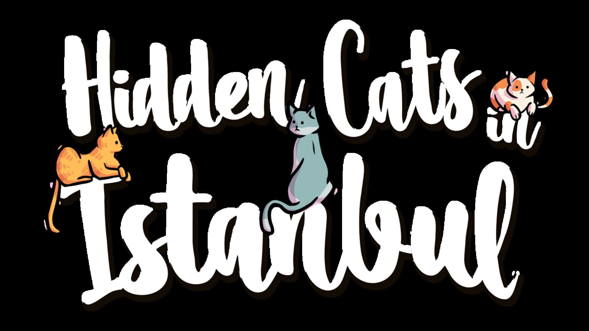Hidden Cats in Istanbul