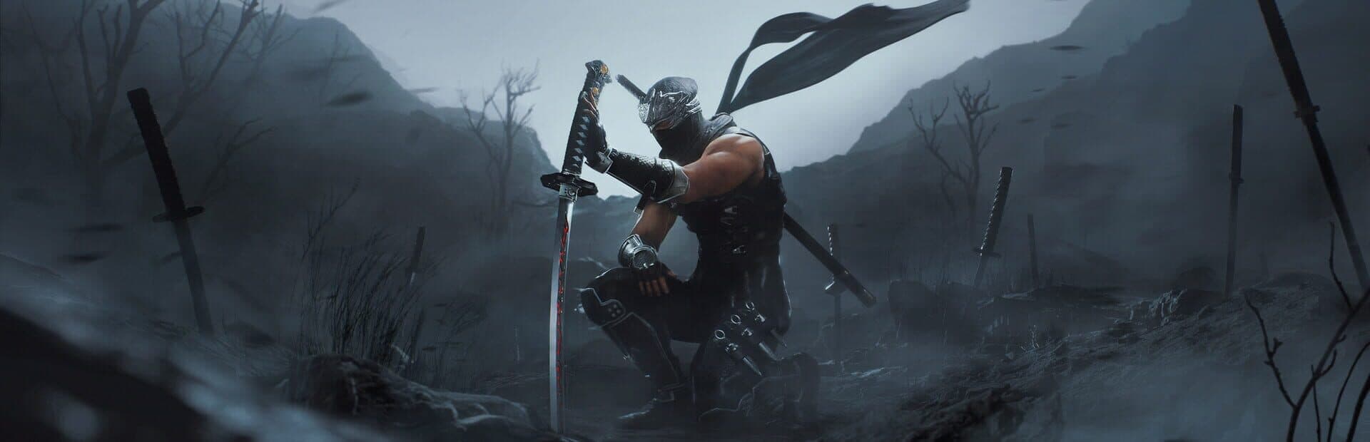 Ninja Gaiden II Black