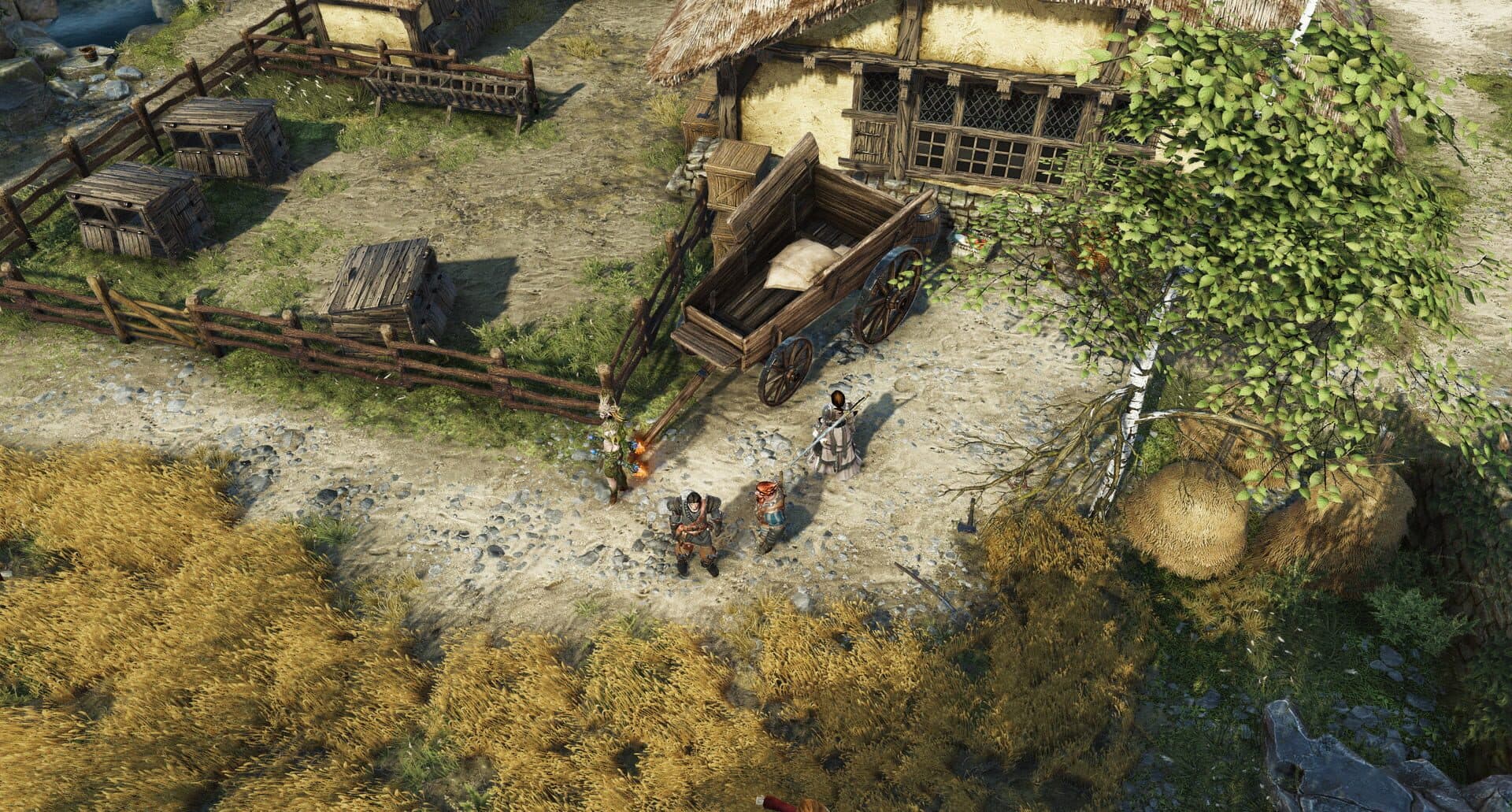 Divinity: Original Sin II screenshot 3