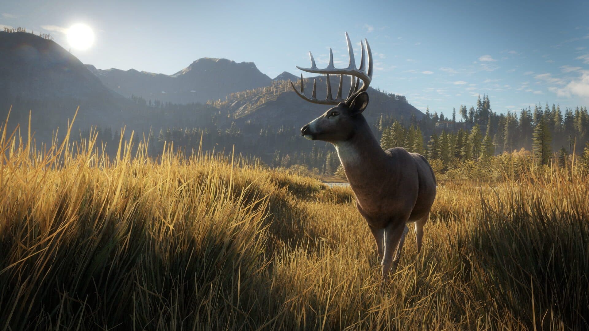 اسکرین‌شات TheHunter: Call of the Wild - 2