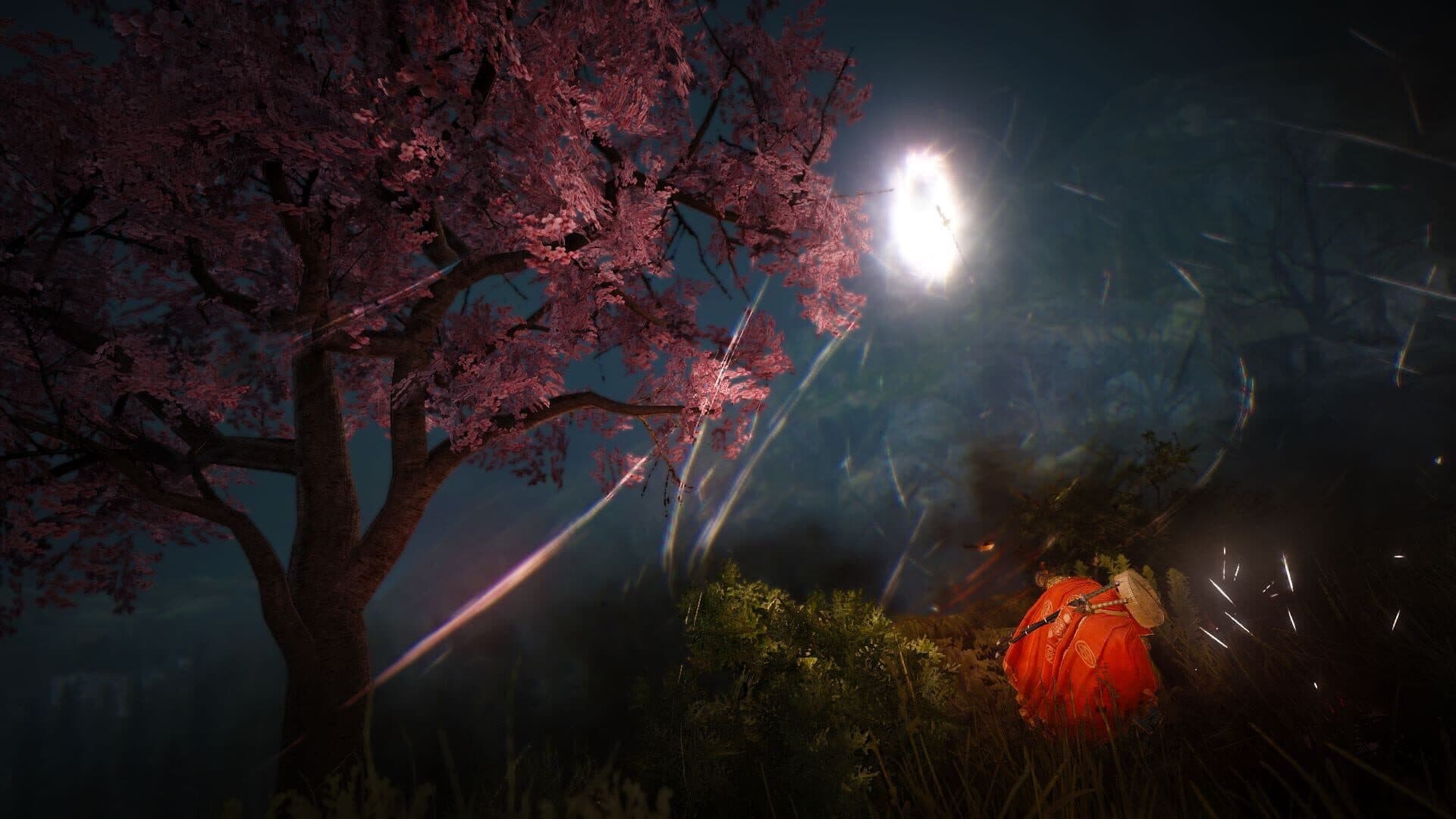 Black Desert screenshot 5