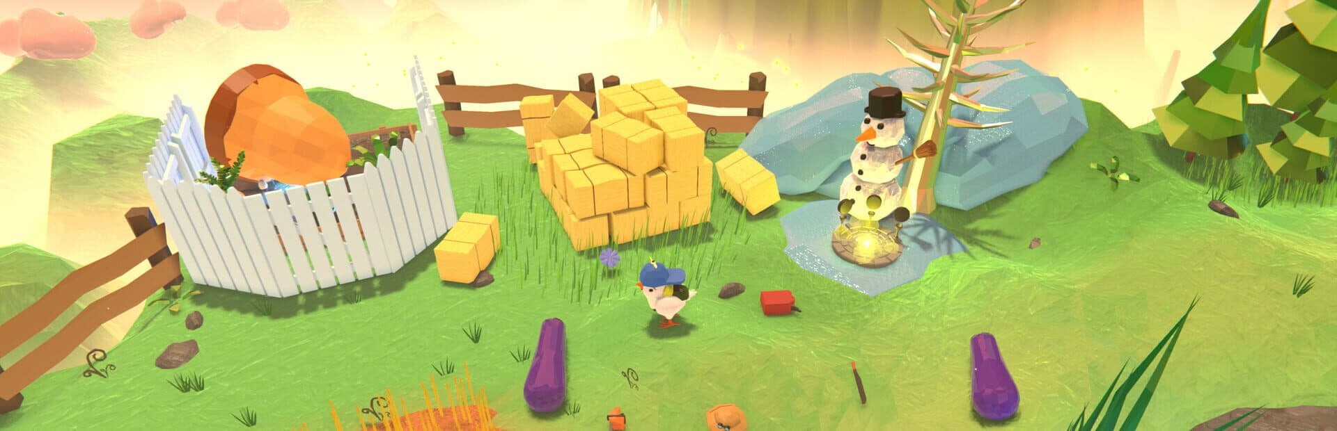 Amazing Chicken Adventures