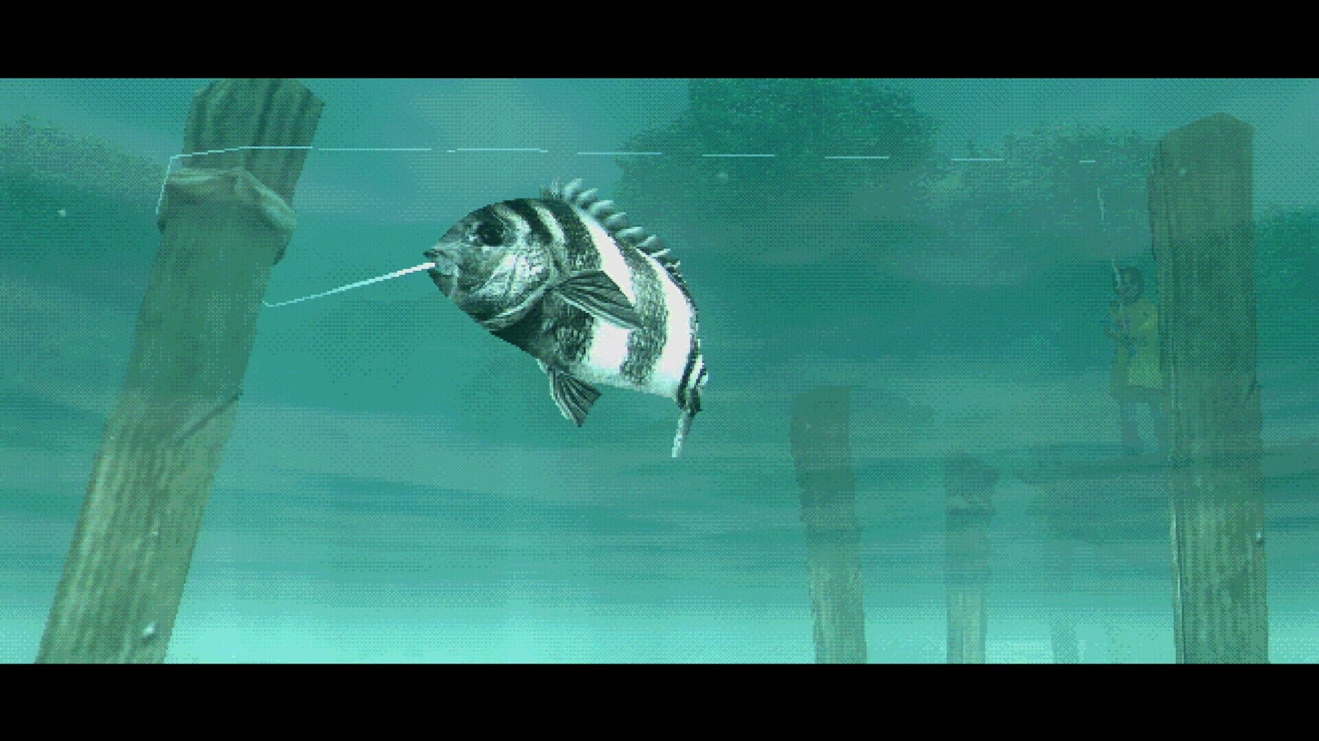 اسکرین‌شات About Fishing - 5
