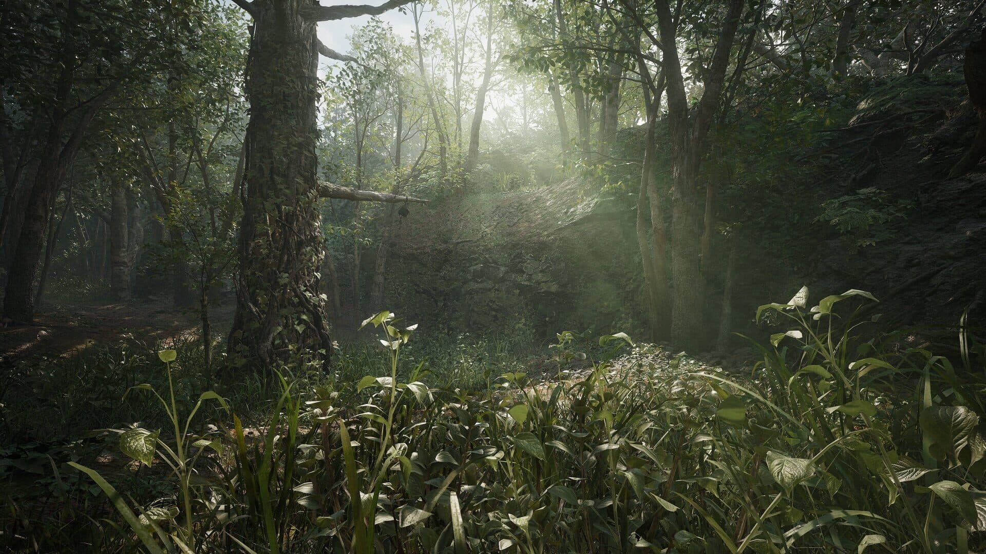 Metal Gear Solid Delta: Snake Eater screenshot 6