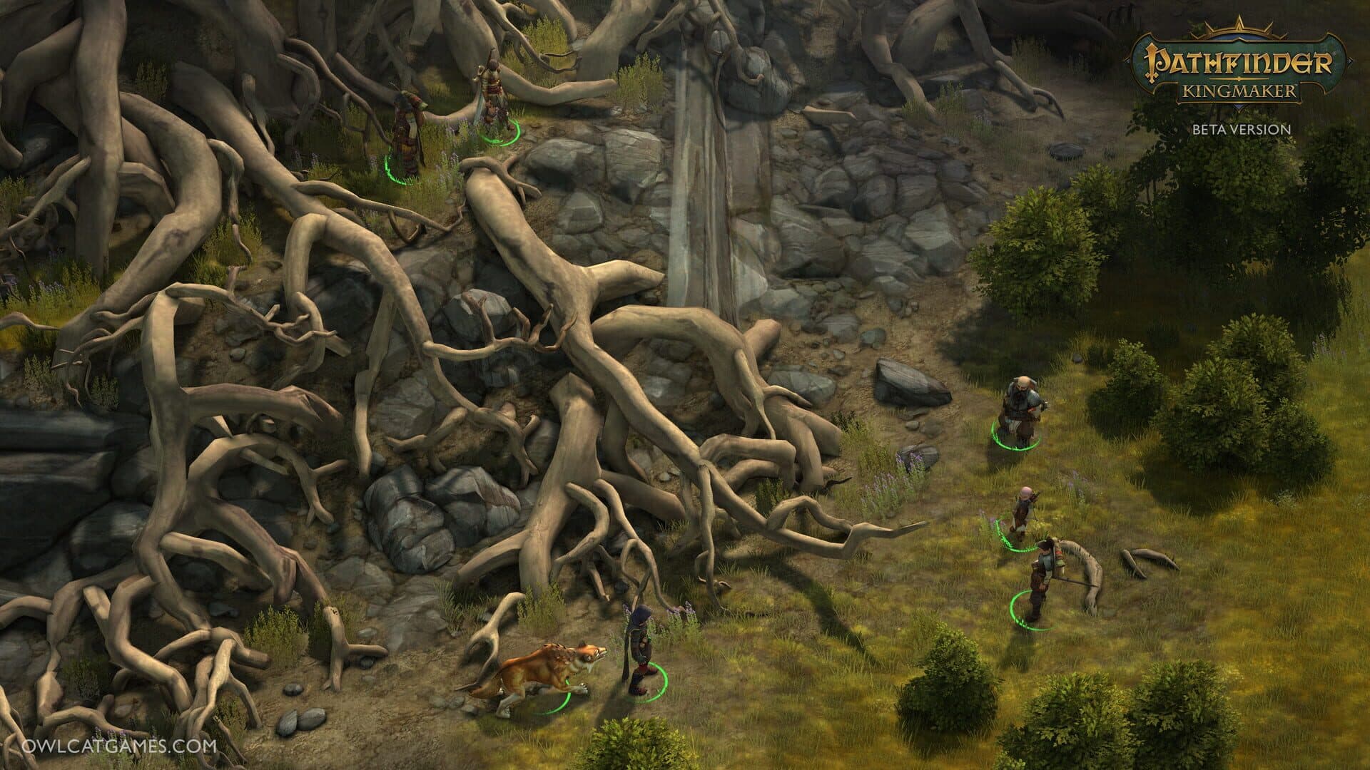 Pathfinder: Kingmaker screenshot 5