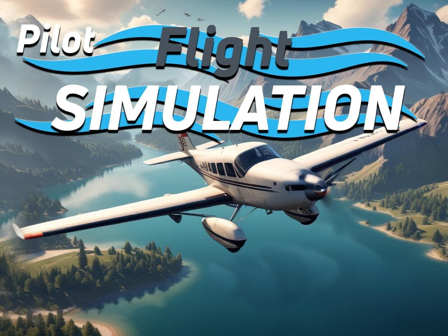 Pilot Flight Simulation