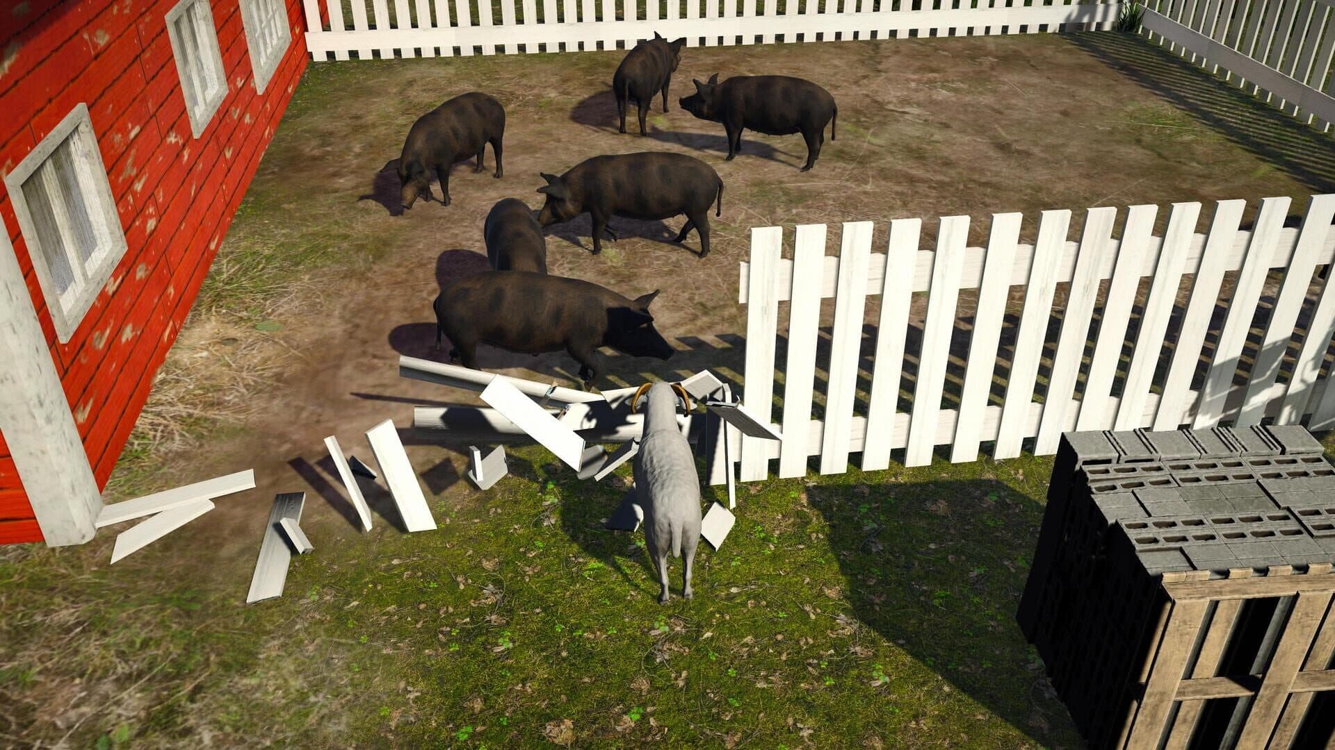 اسکرین‌شات Ram Simulator - 2