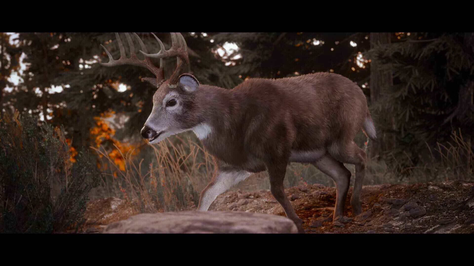 اسکرین‌شات Hunting Simulator 3 - 1