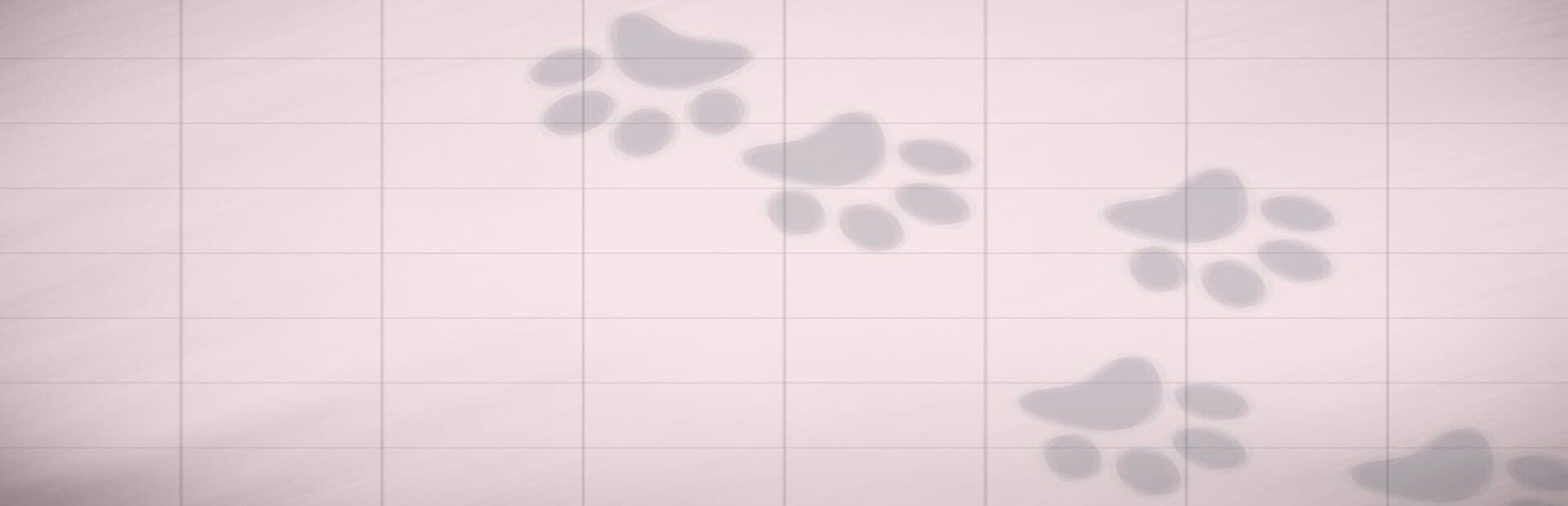 PuzzlePet: Feed Your Cat
