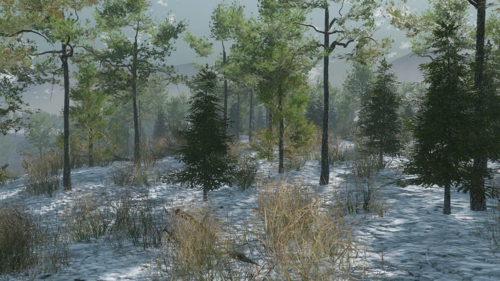 اسکرین‌شات Pro Deer Hunting: Out West - 3