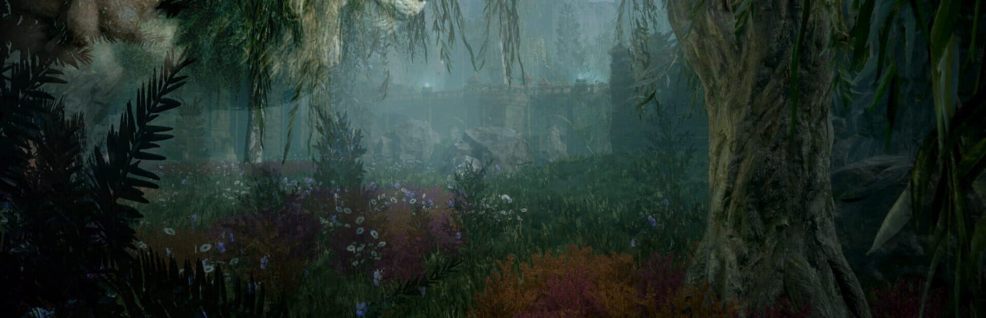 Nephise: Ascension