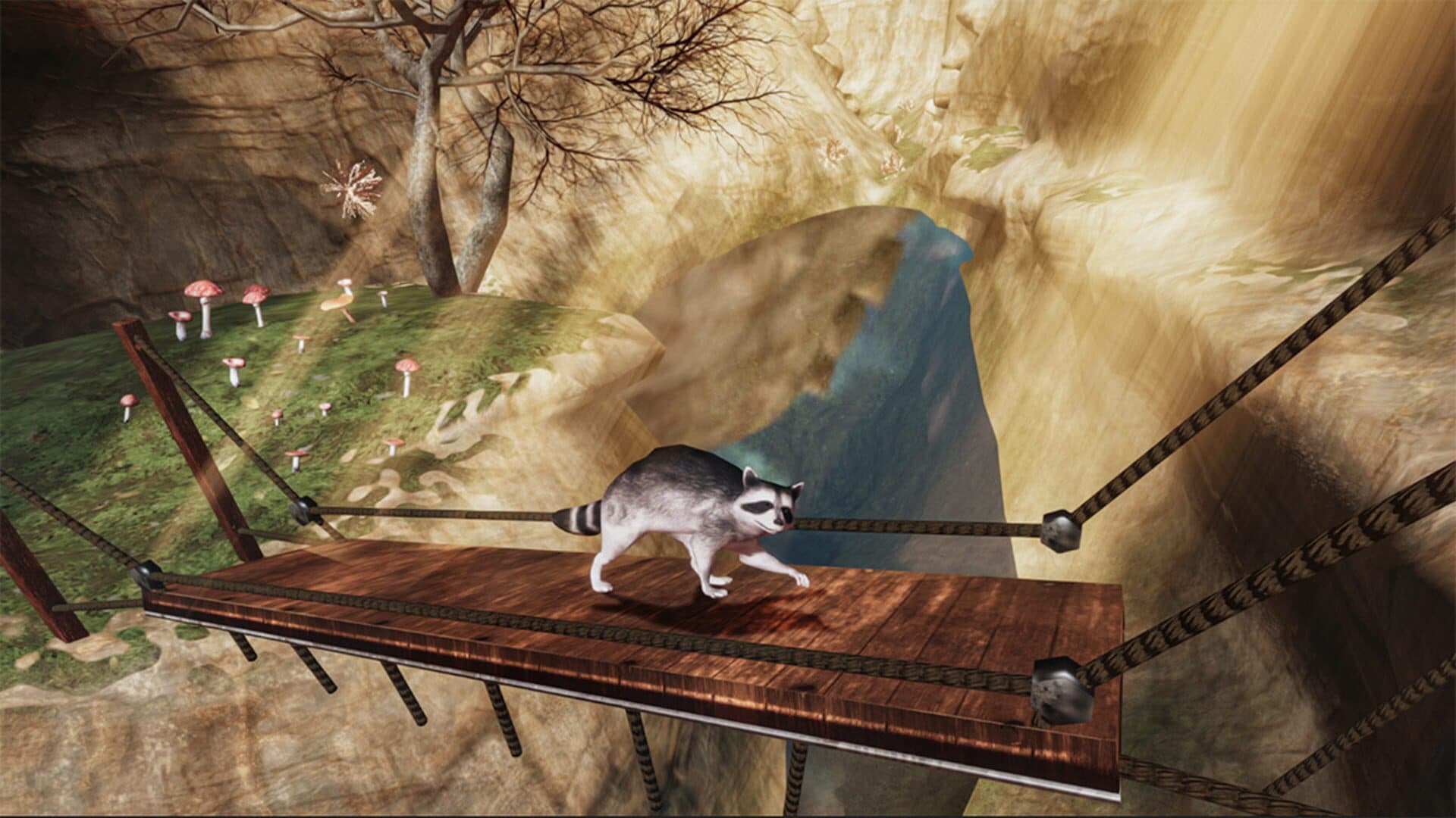 اسکرین‌شات Raccoon Adventure - 4
