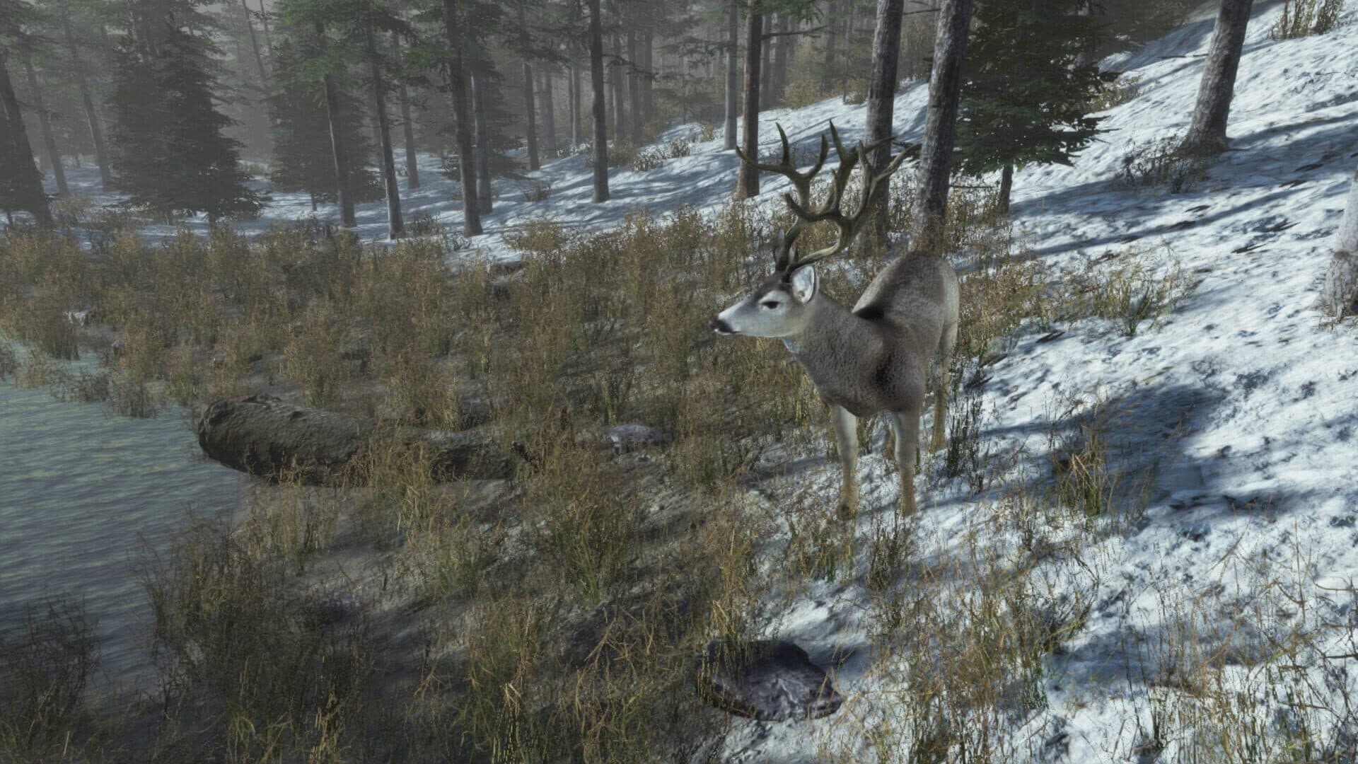 اسکرین‌شات Pro Deer Hunting: Out West - 8