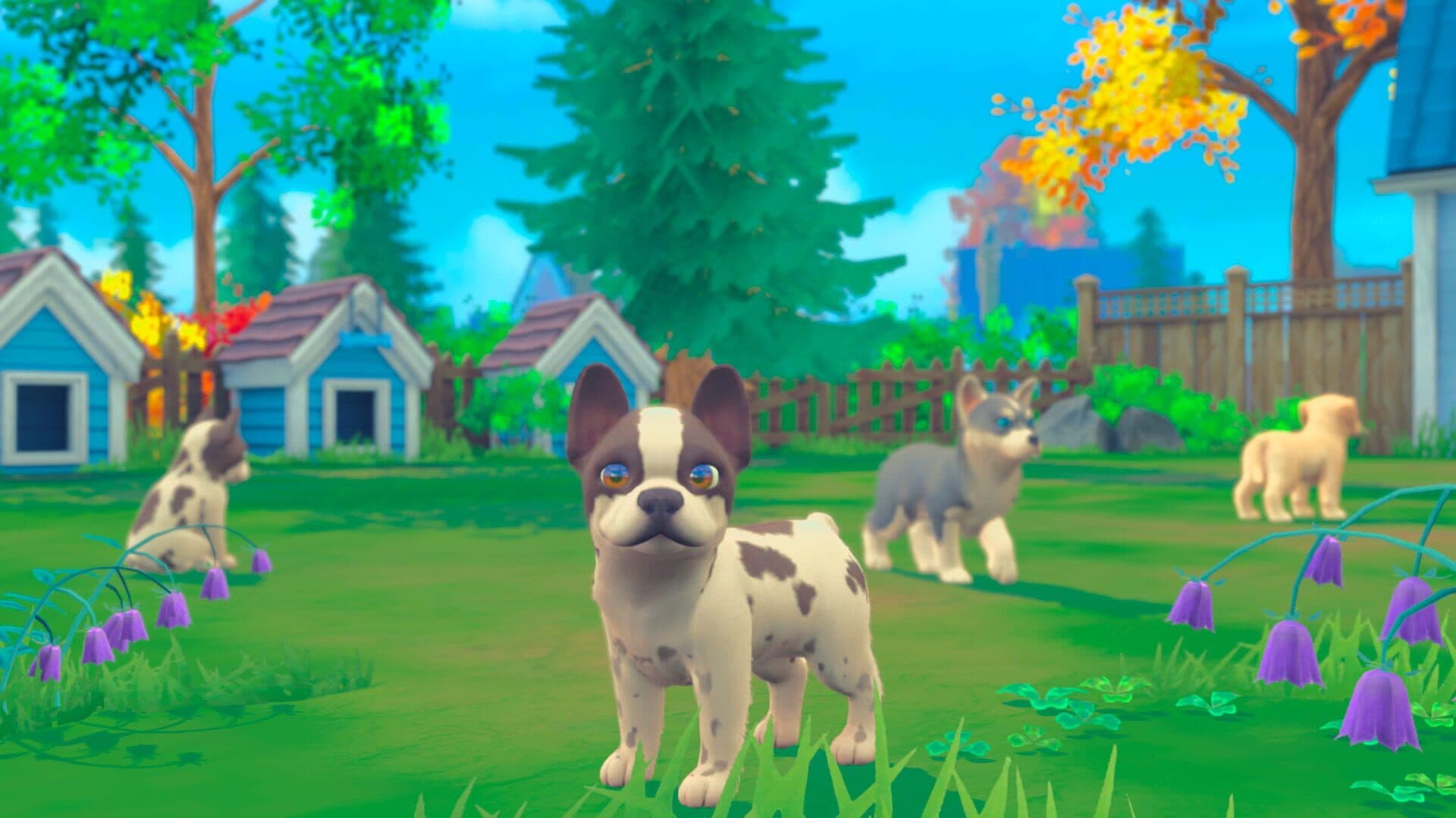 My Universe: Puppies and Kittens screenshot 0