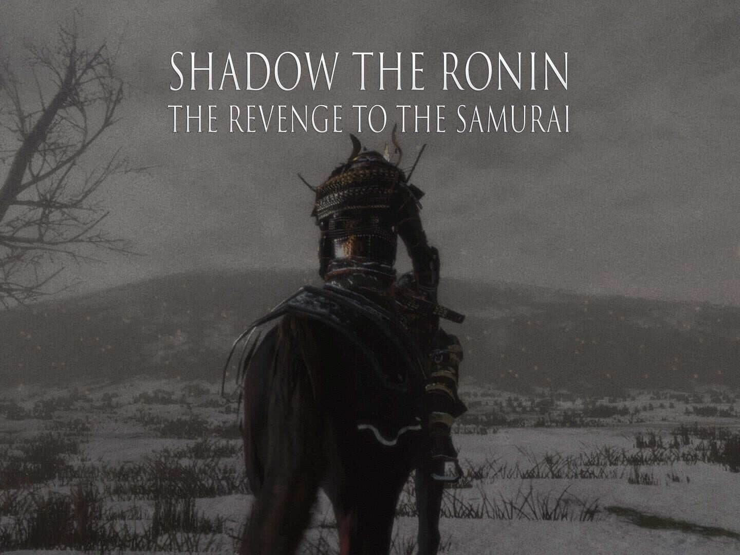 Shadow the Ronin: The Revenge to the Samurai