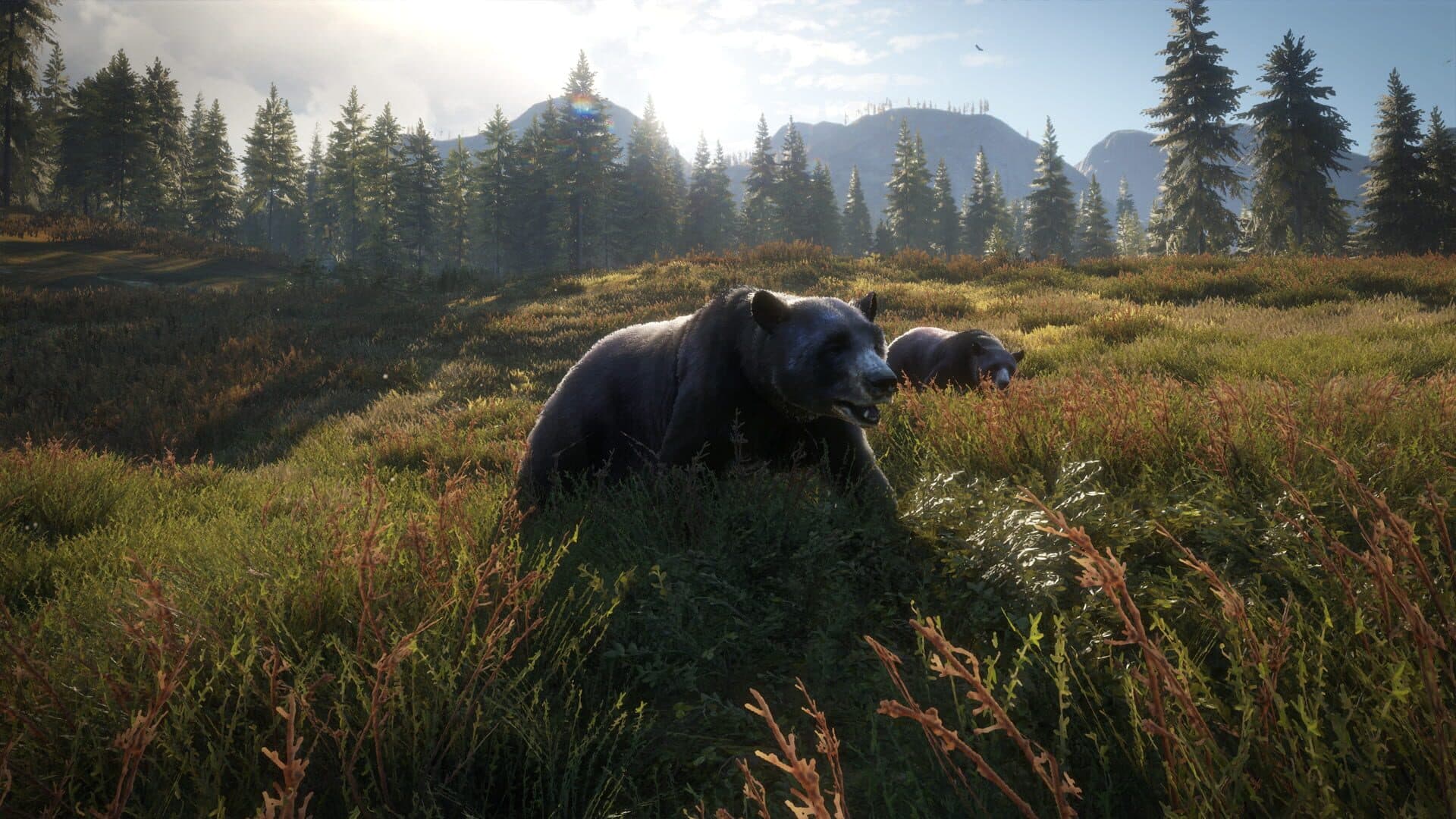 اسکرین‌شات TheHunter: Call of the Wild - 11