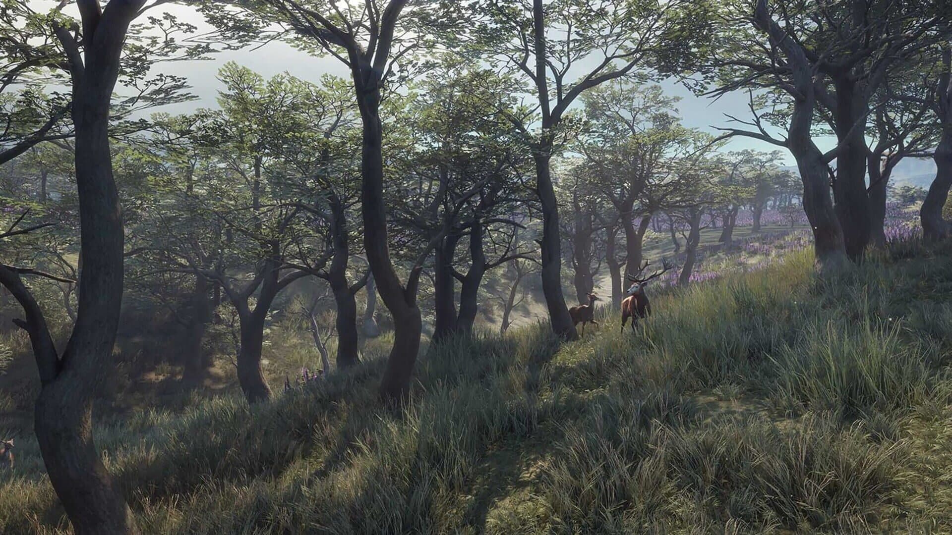 اسکرین‌شات TheHunter: Call of the Wild - 2021 Edition - 3