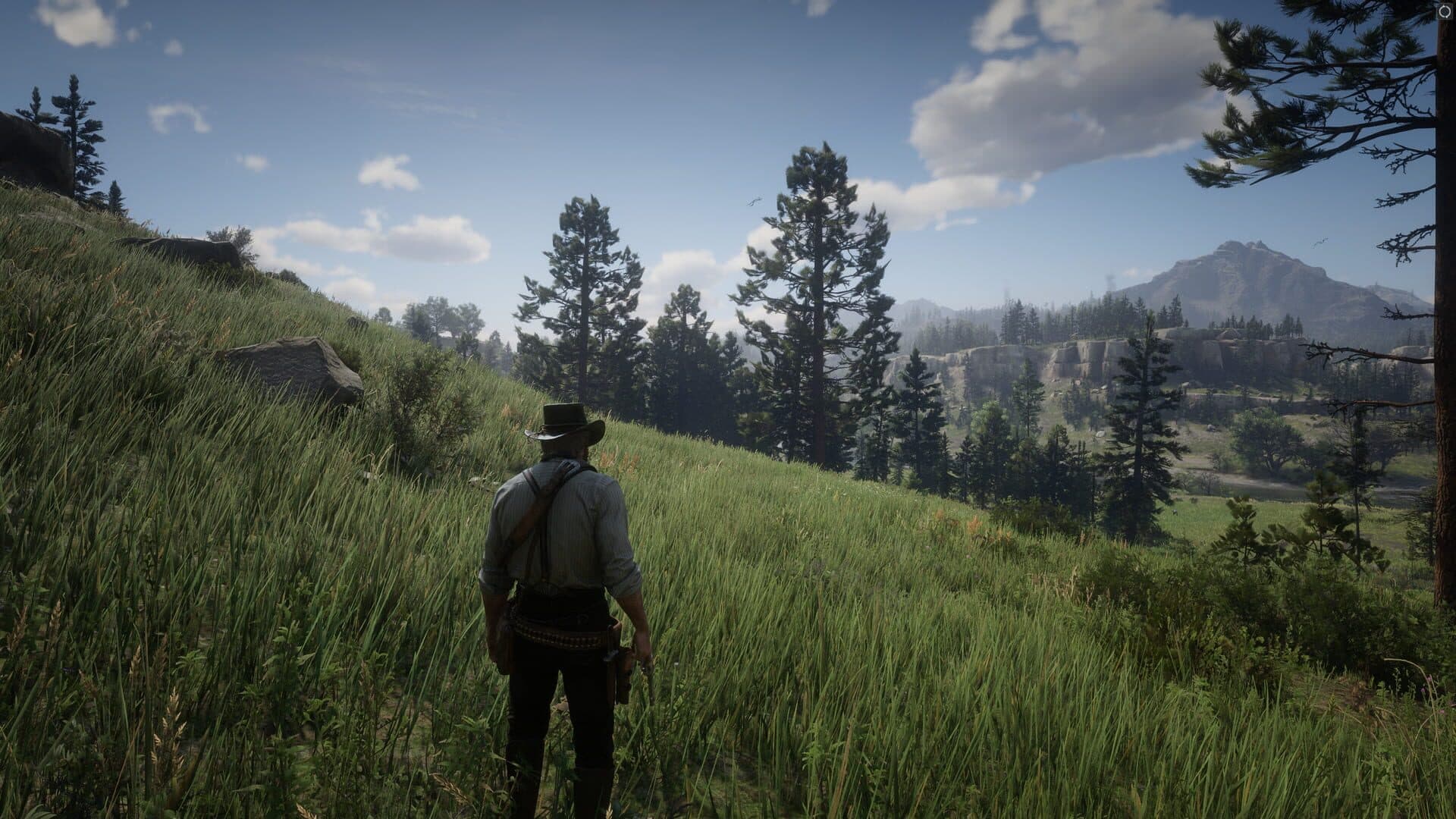 Red Dead Redemption 2 screenshot 8