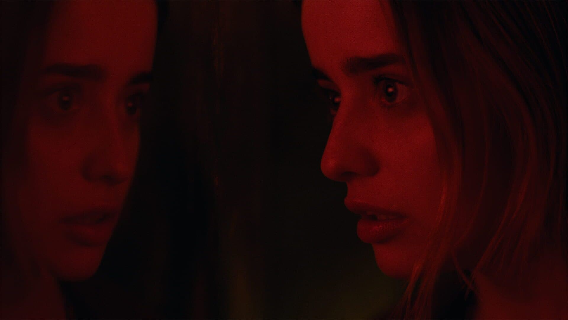 Erica screenshot 5
