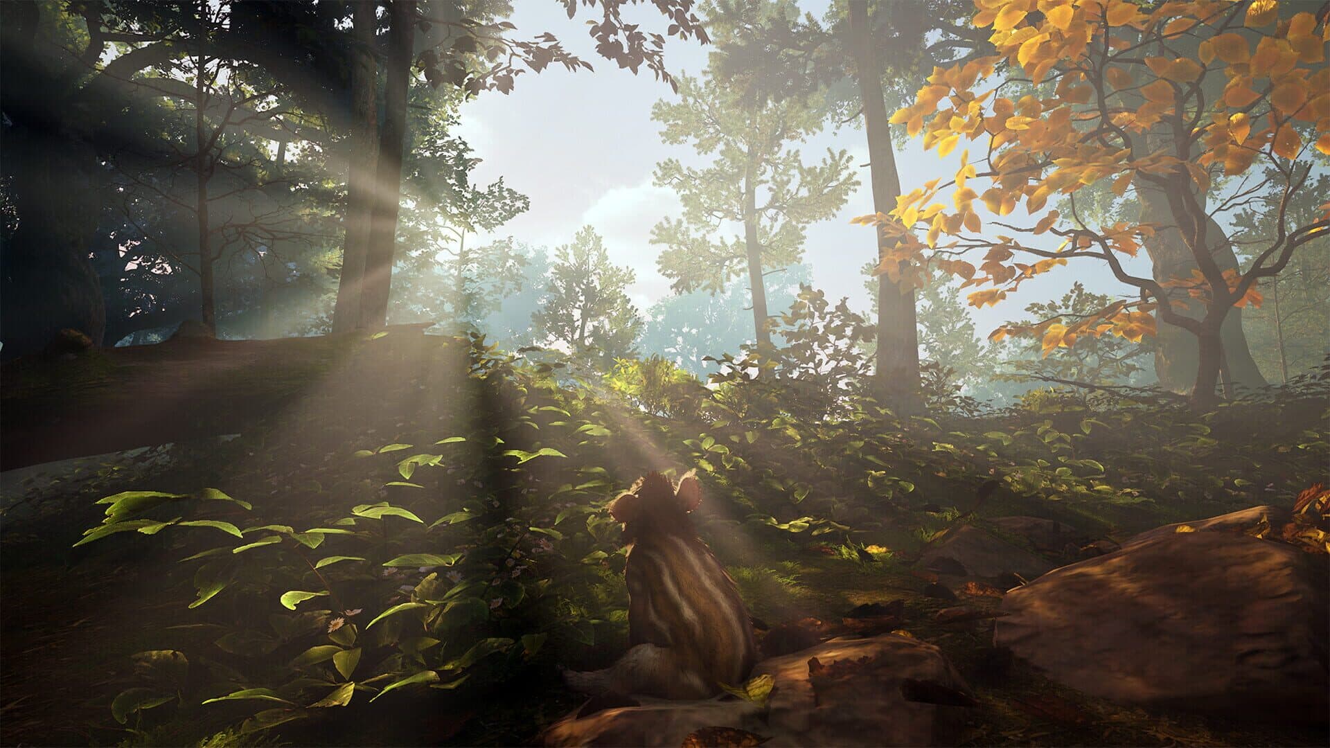 Adorable Adventures screenshot 0