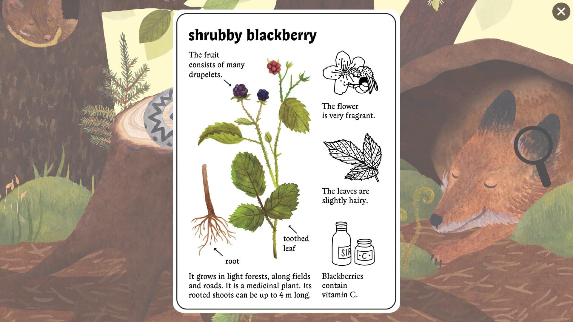 Little Mouse's Encyclopedia screenshot 5