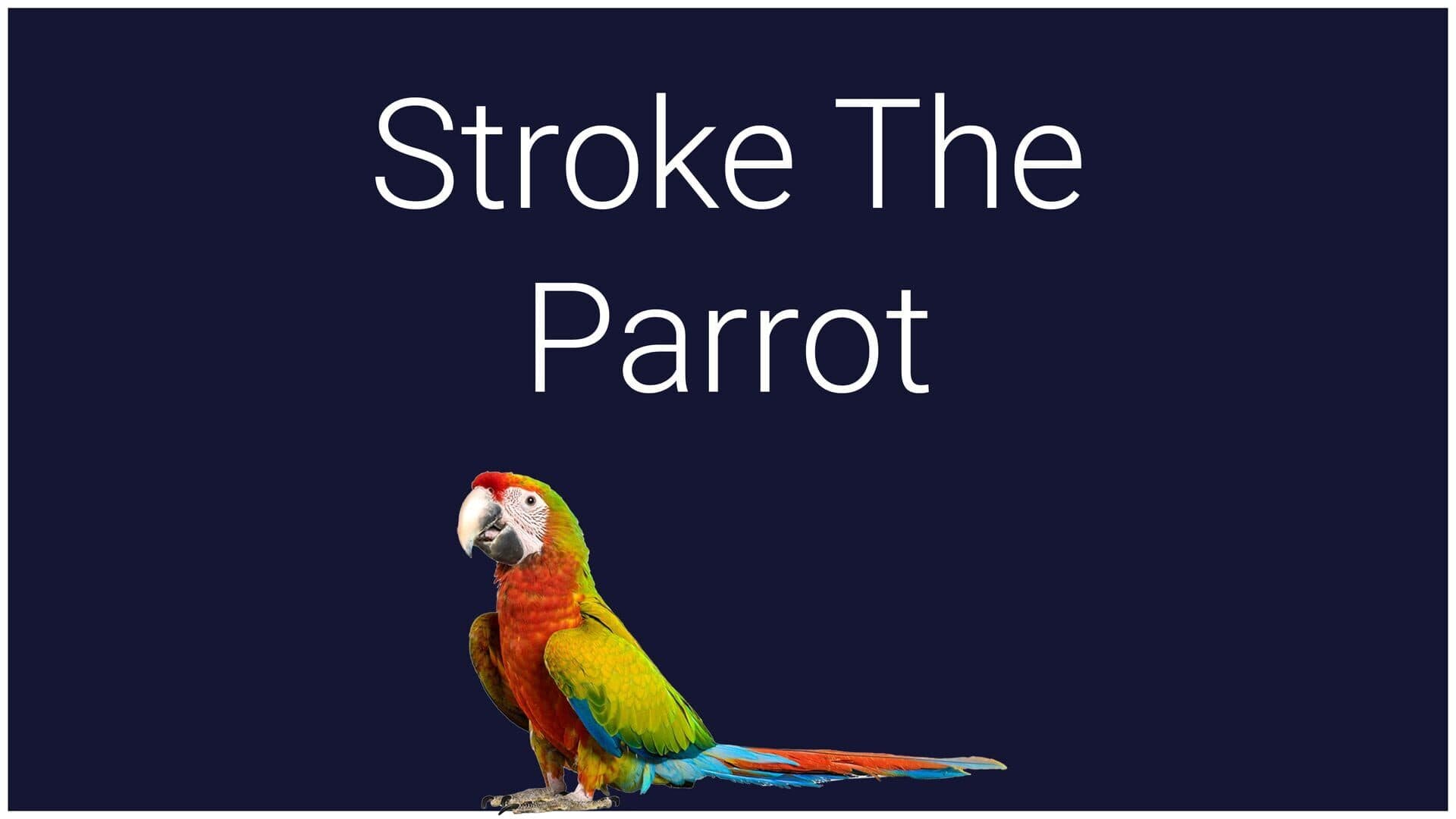 اسکرین‌شات Stroke the Parrot - 1