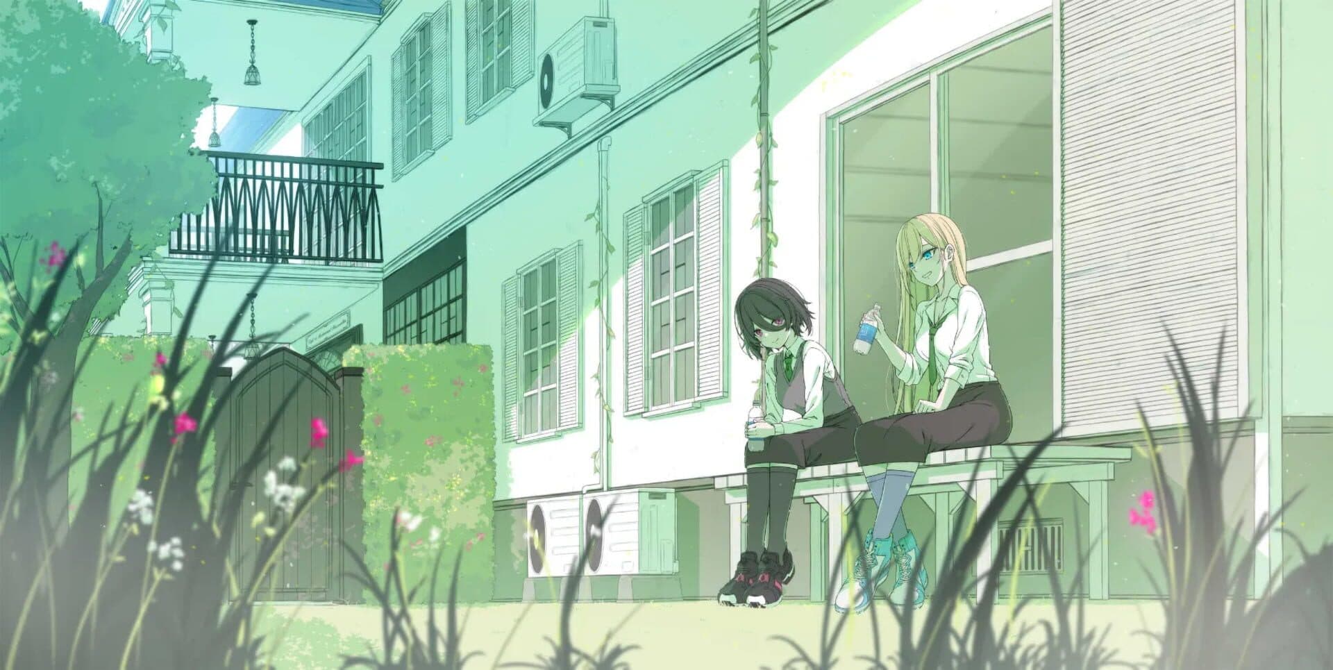 Everlasting Flowers