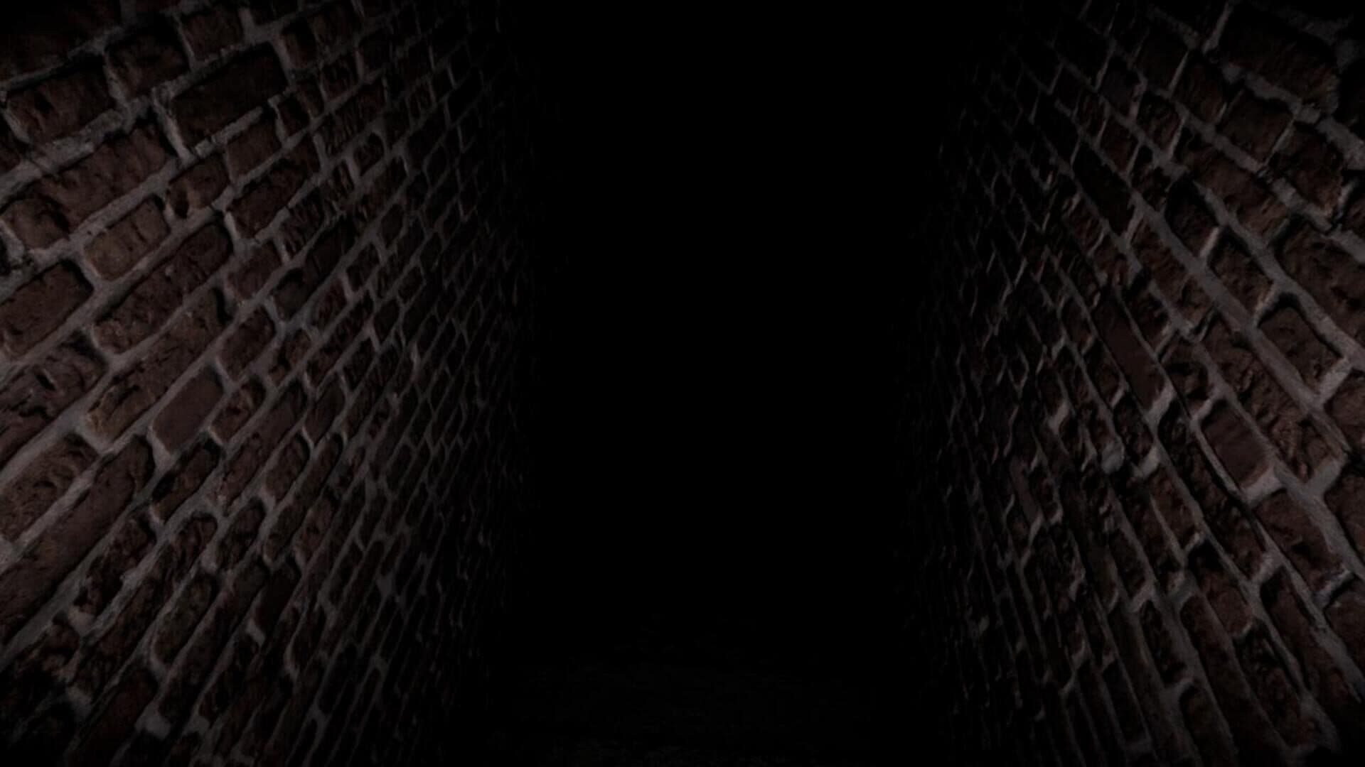 اسکرین‌شات SCP-087: The Stairwell Horror - 5