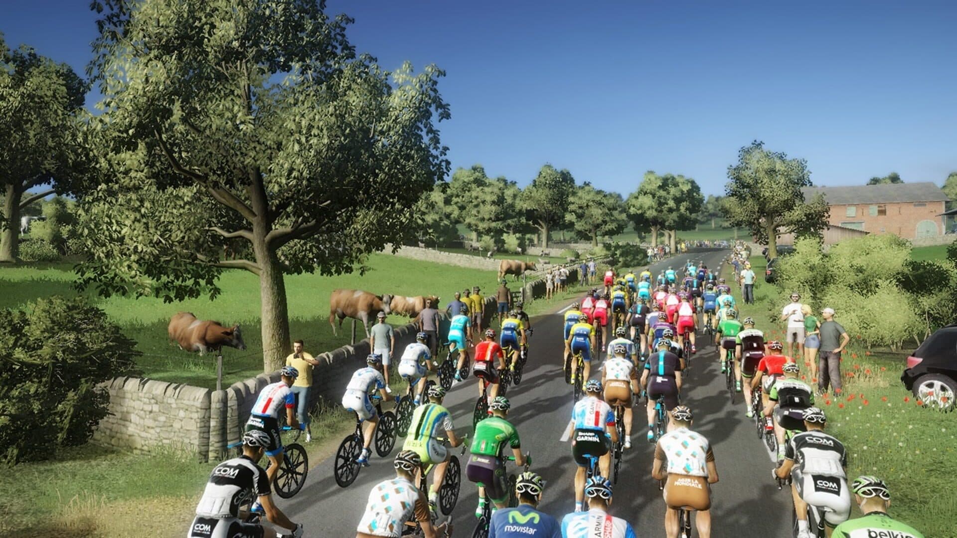 Tour de France 2014 screenshot 4