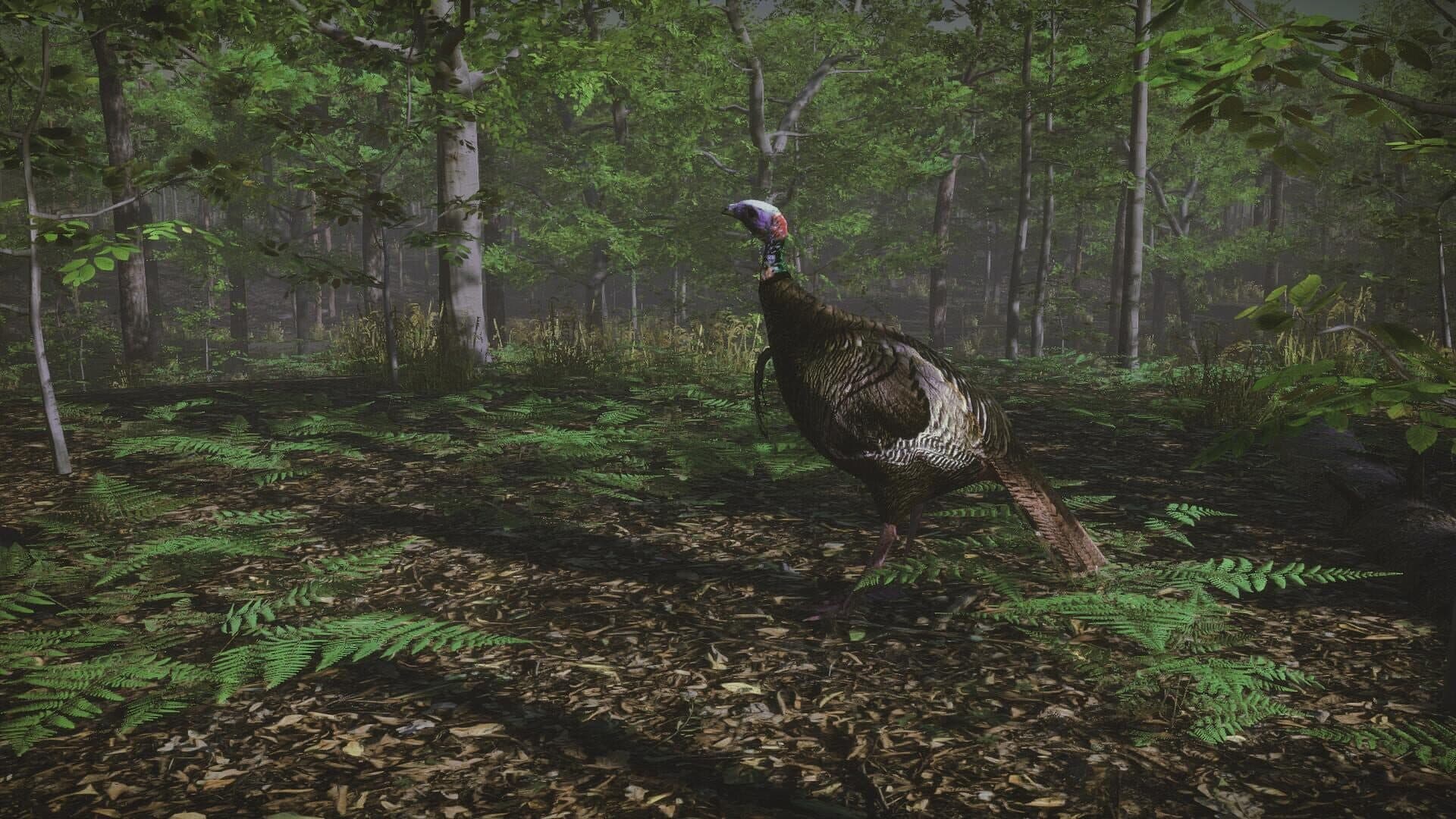 اسکرین‌شات Pro Turkey Hunting - 7