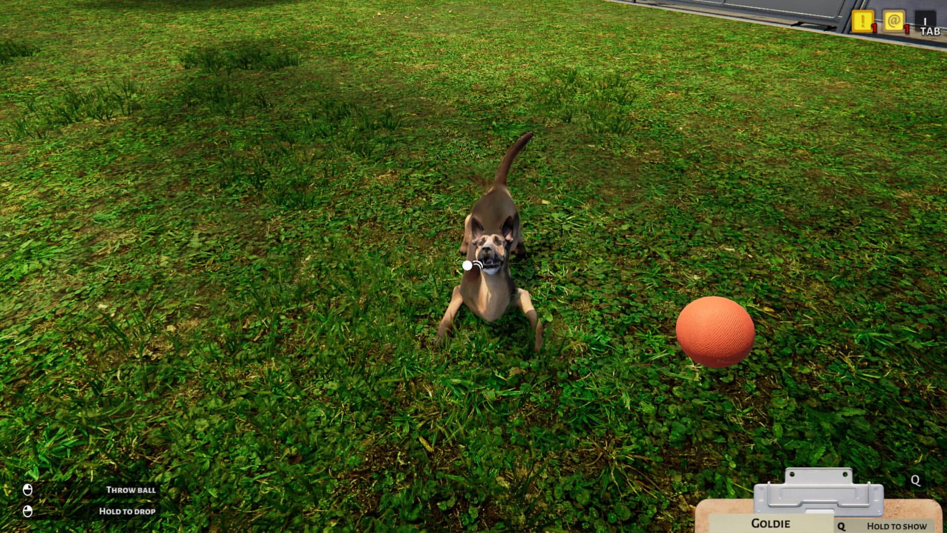 Animal Shelter Simulator screenshot 7