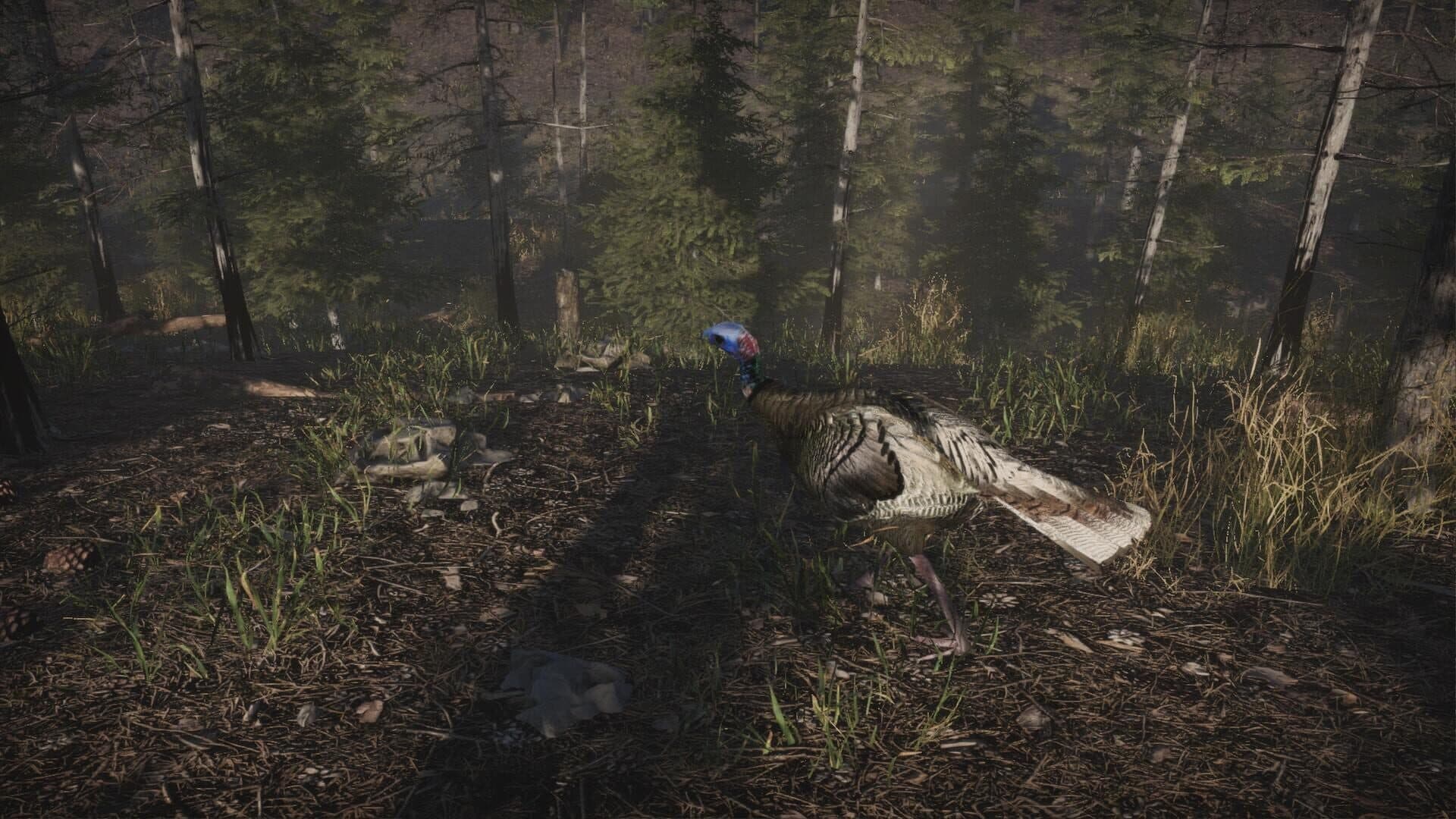 اسکرین‌شات Pro Turkey Hunting - 5