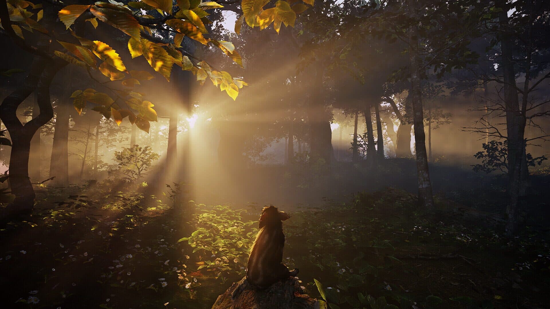 Adorable Adventures screenshot 4