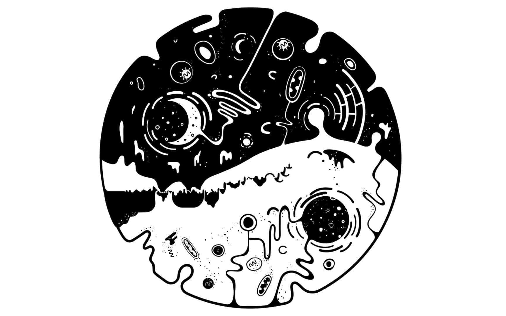 اسکرین‌شات Ovivo - 4