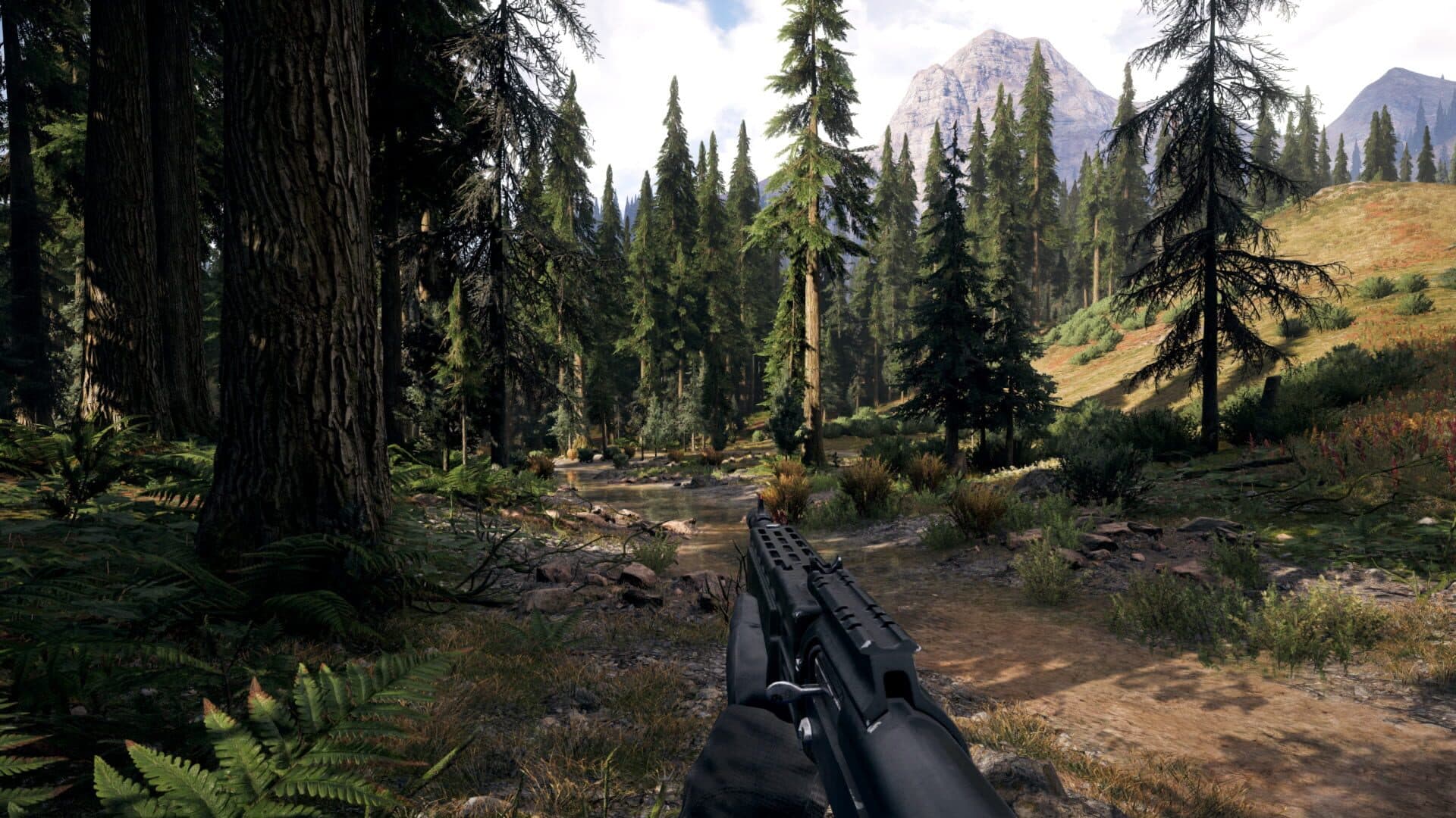 Far Cry 5 screenshot 0