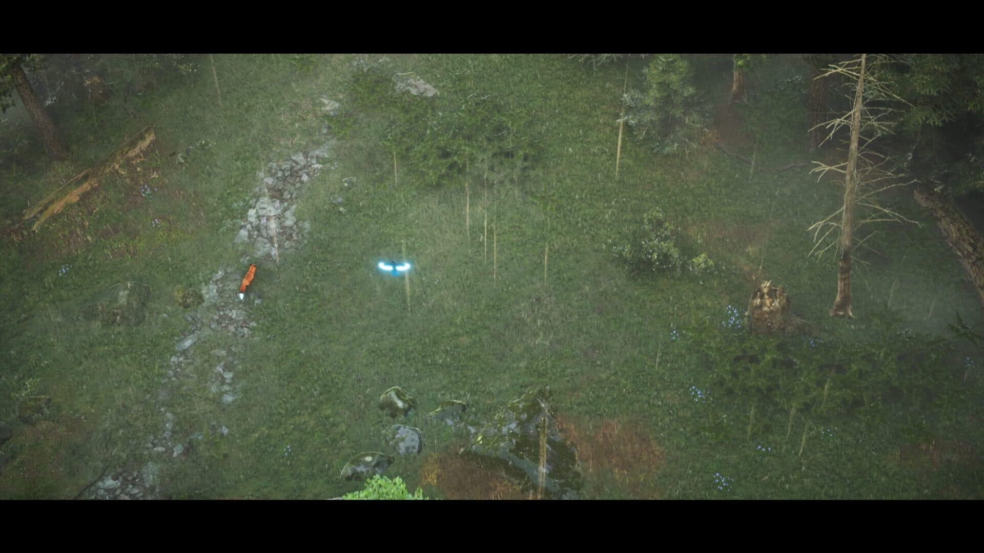 Spirit of the North 2 screenshot 0