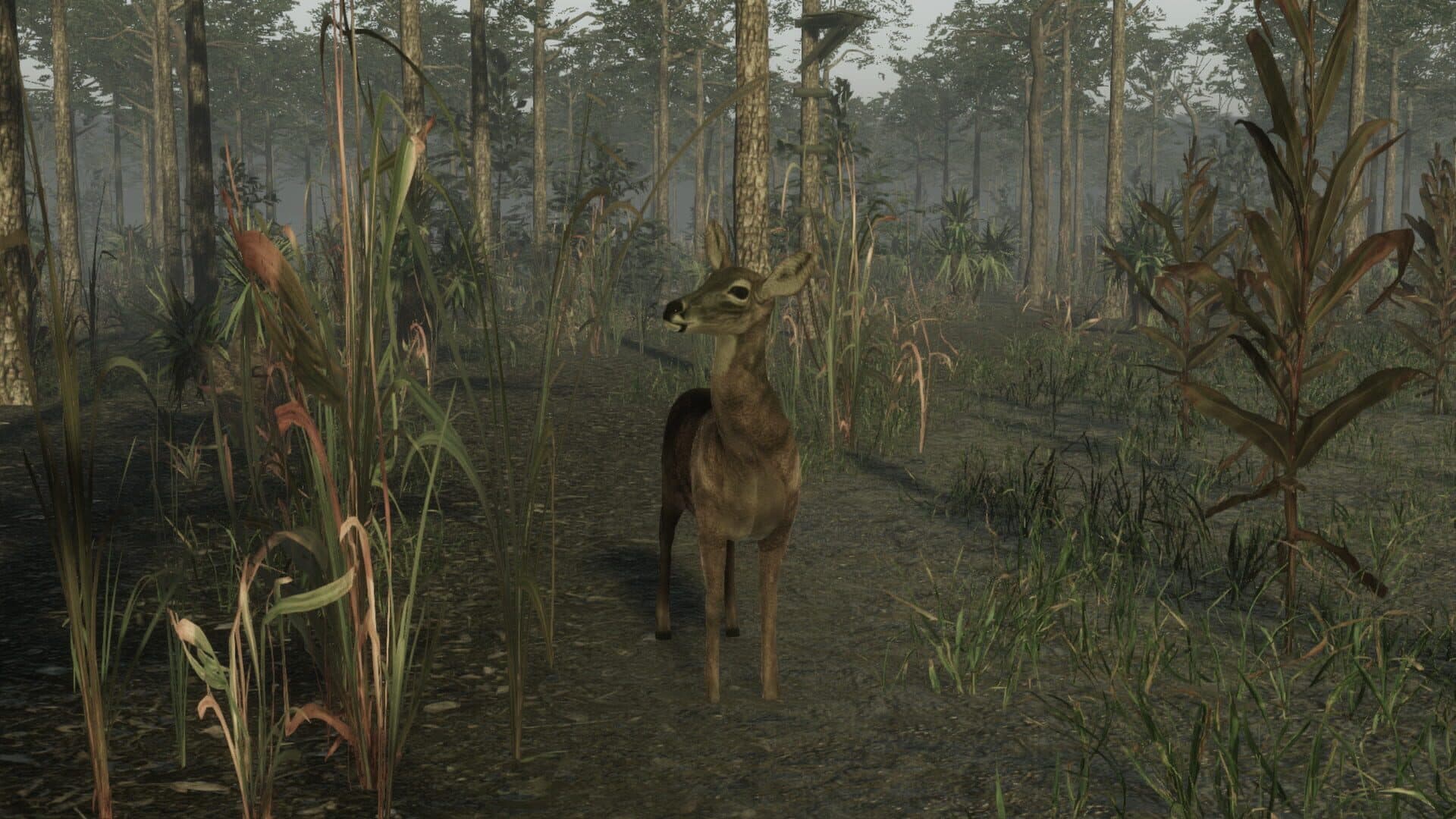 اسکرین‌شات Pro Deer Hunting 2 - 6